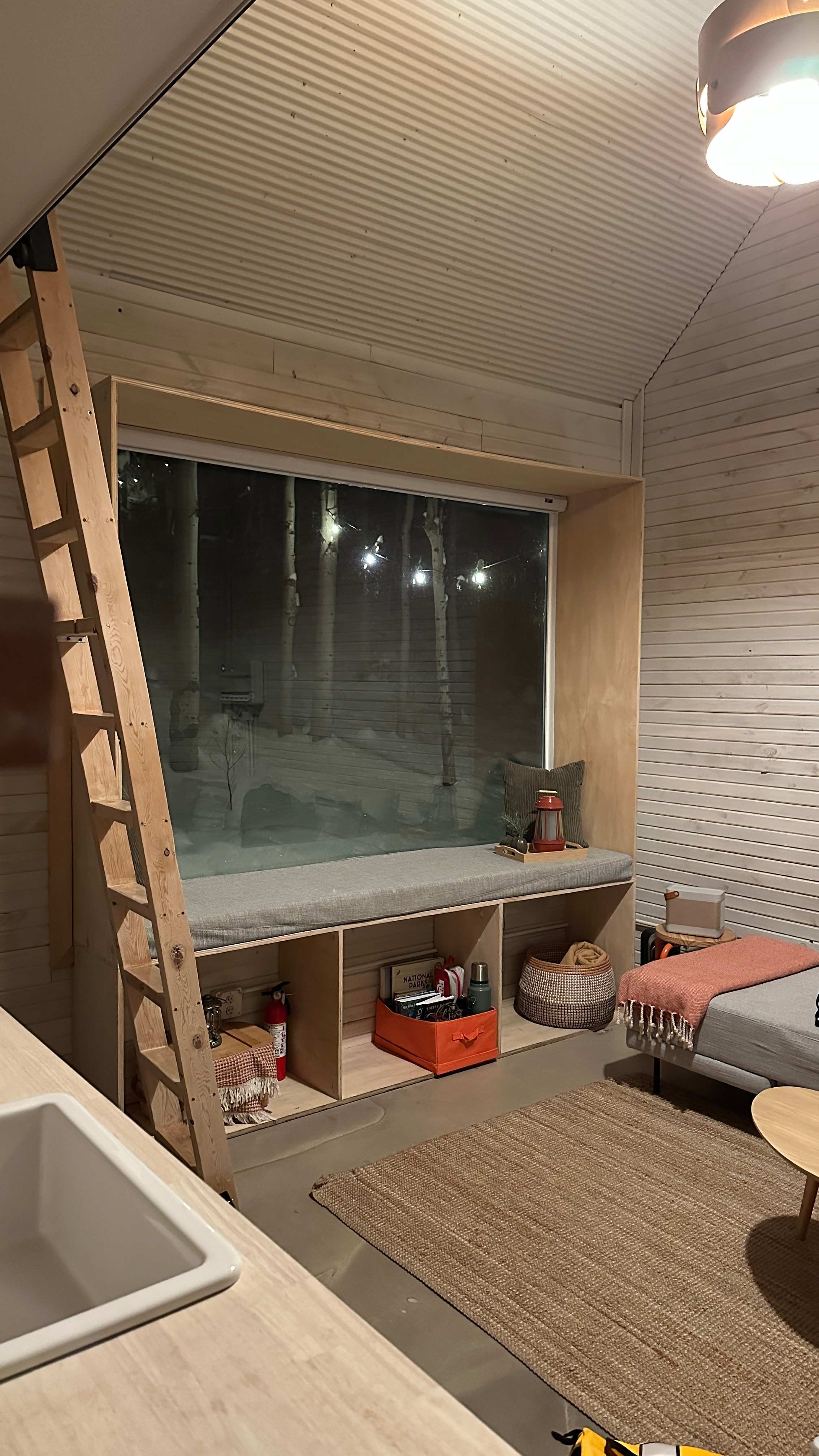 Aspen Forest in Evergreen Colorado