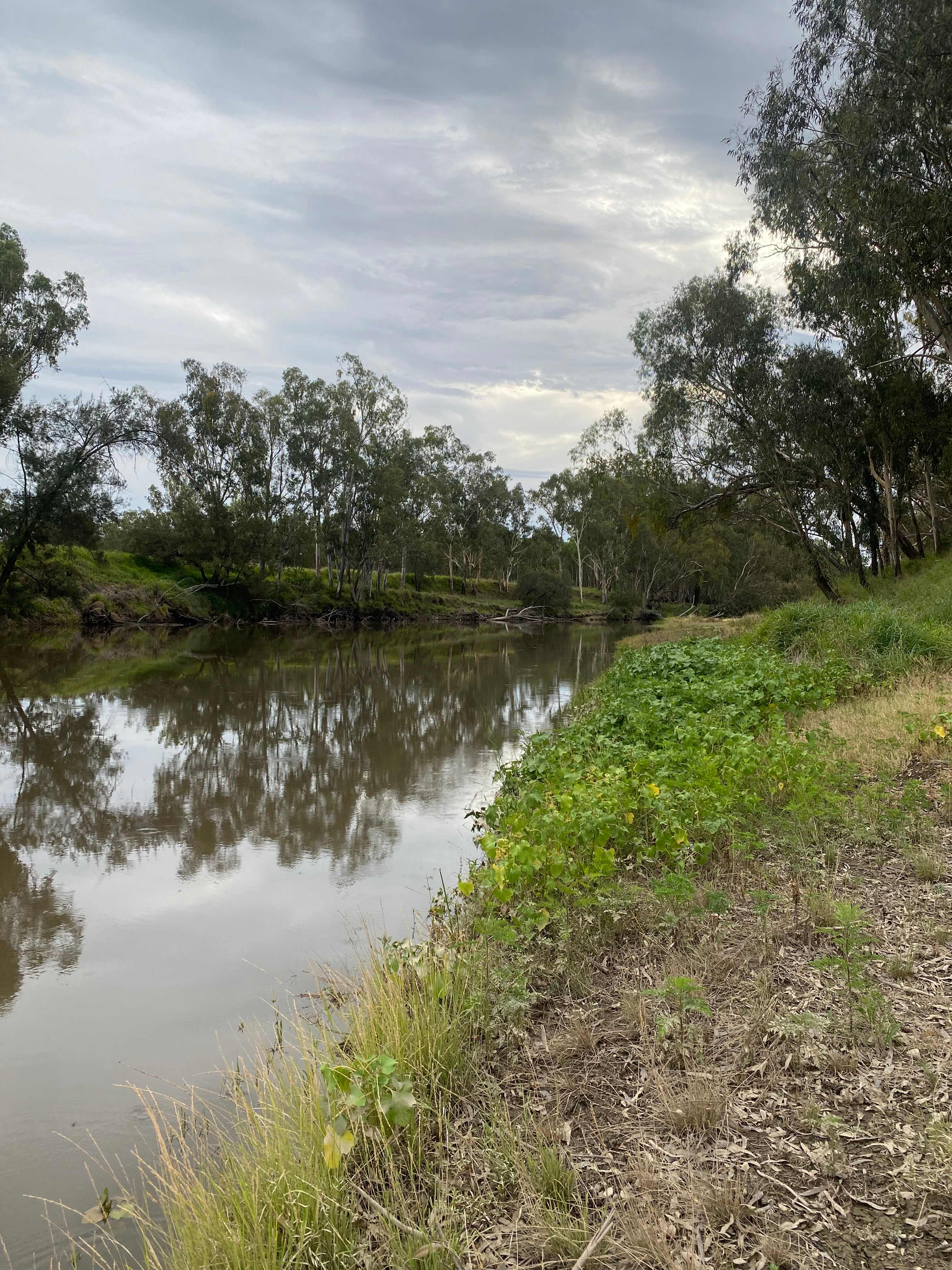 Bushland Hideaway on the River