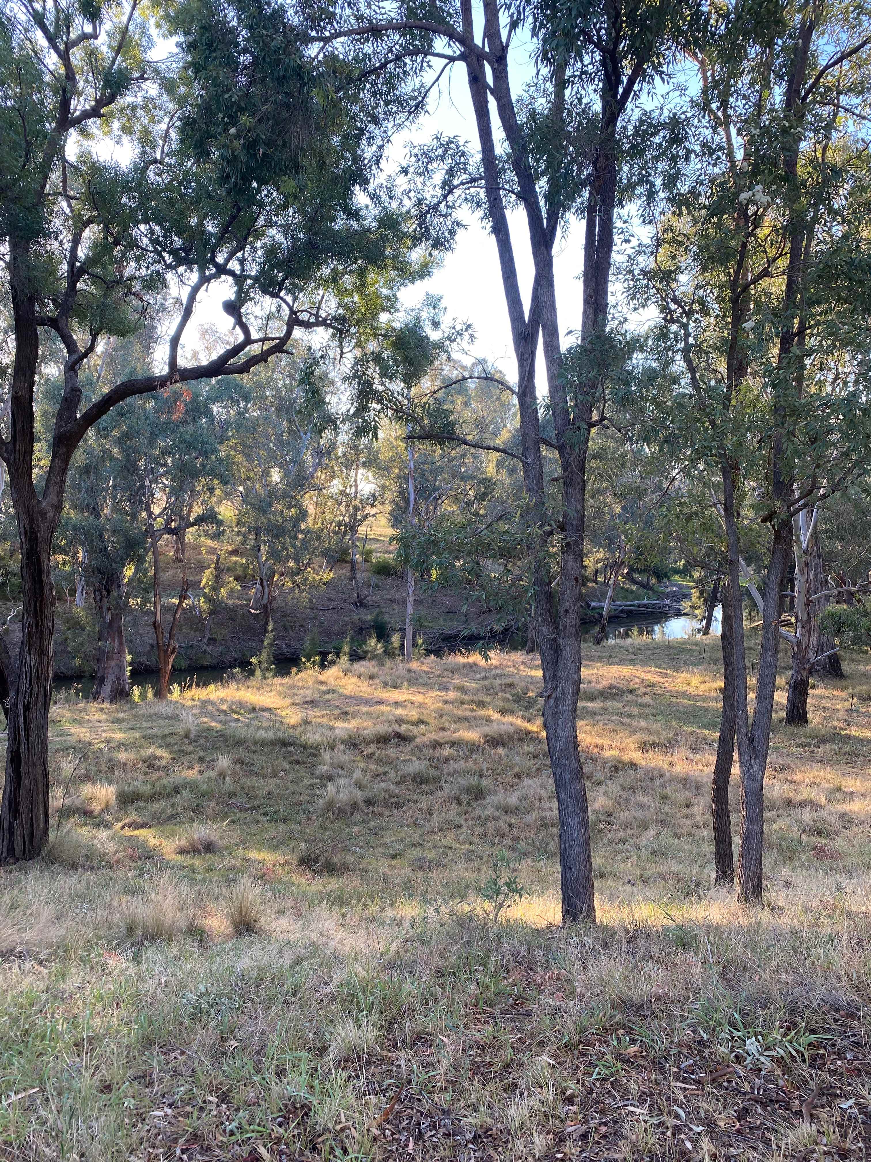 Cadagi Farm Stay in Central West NSW