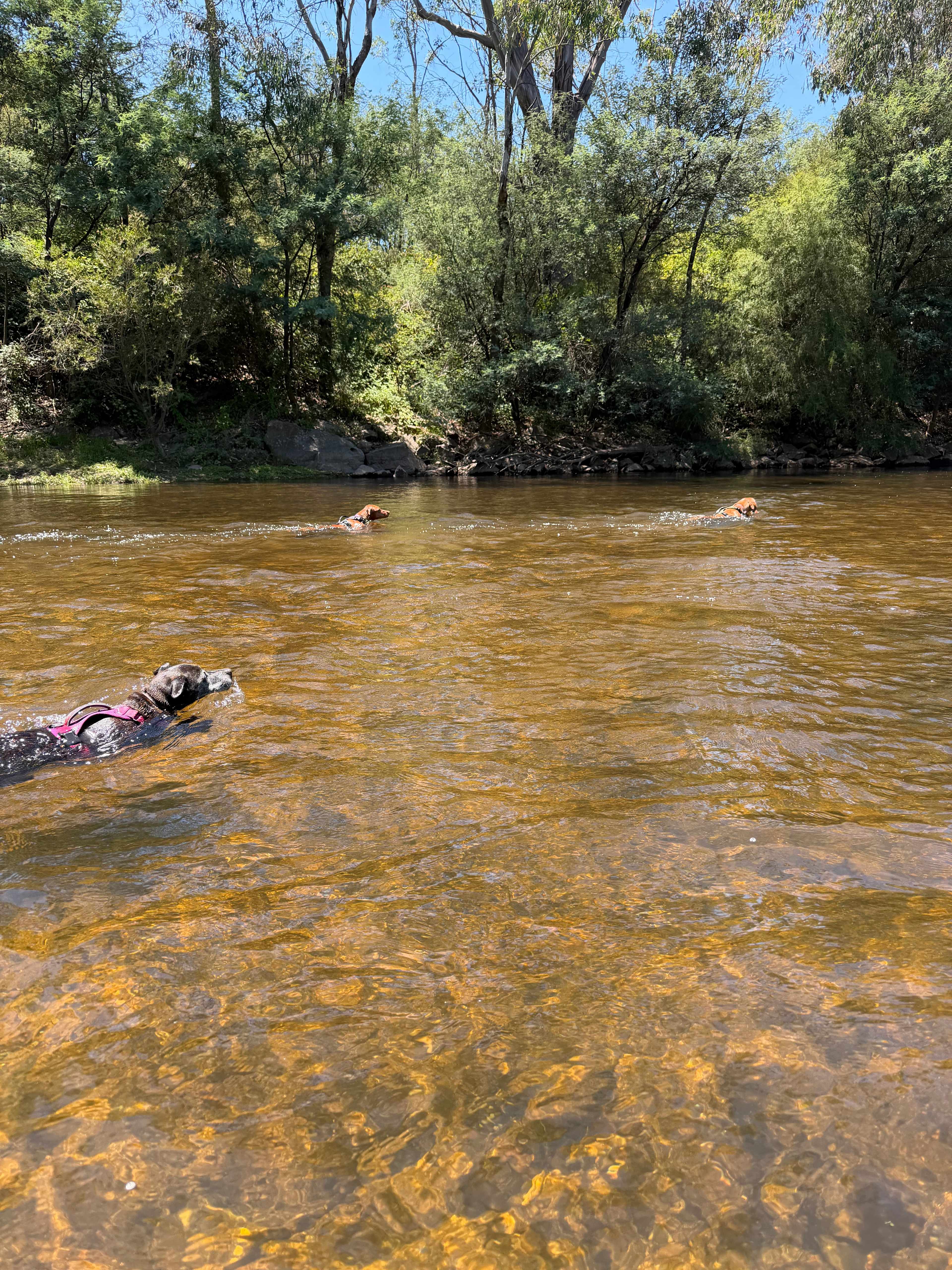 Buffalo River Retreat
