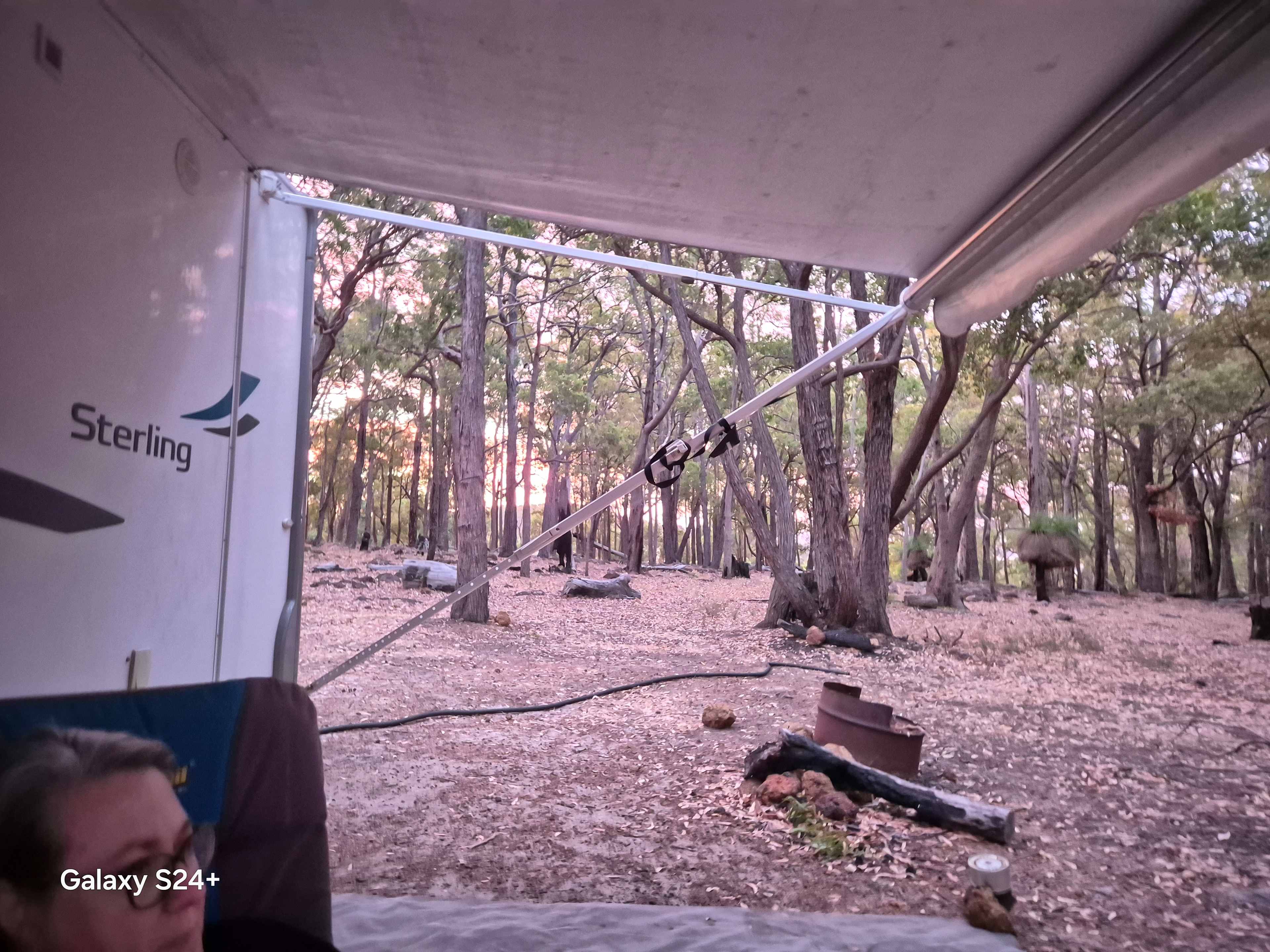 Sunset through the trees