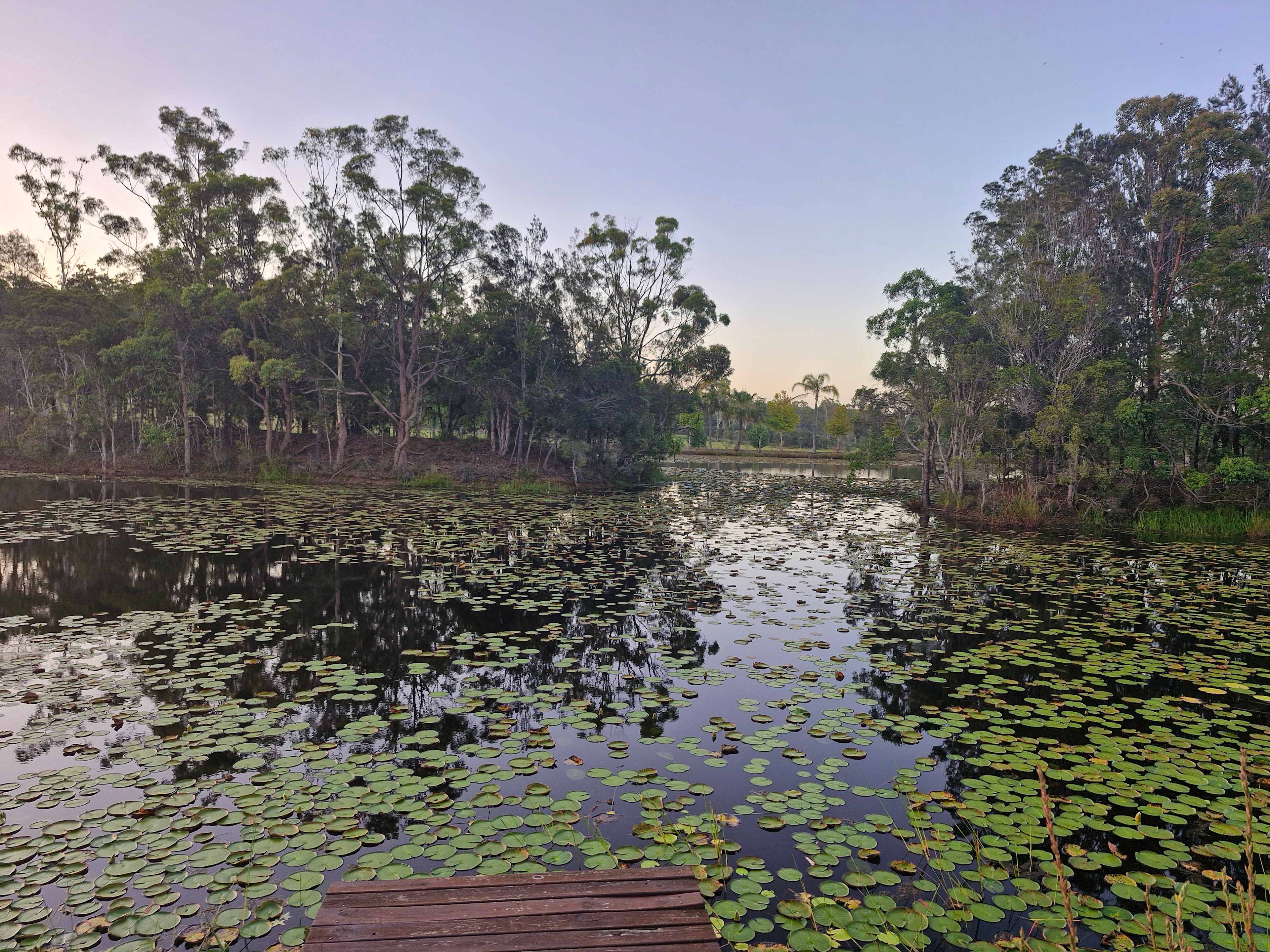 Benefields Rose Farm