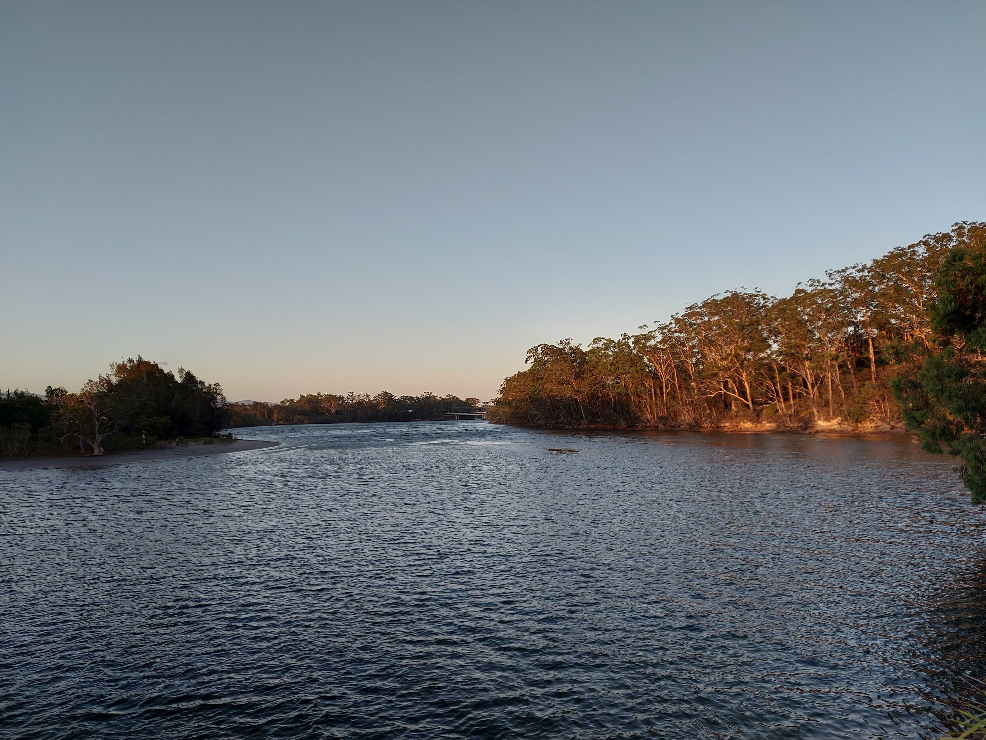 View from our site (#1)