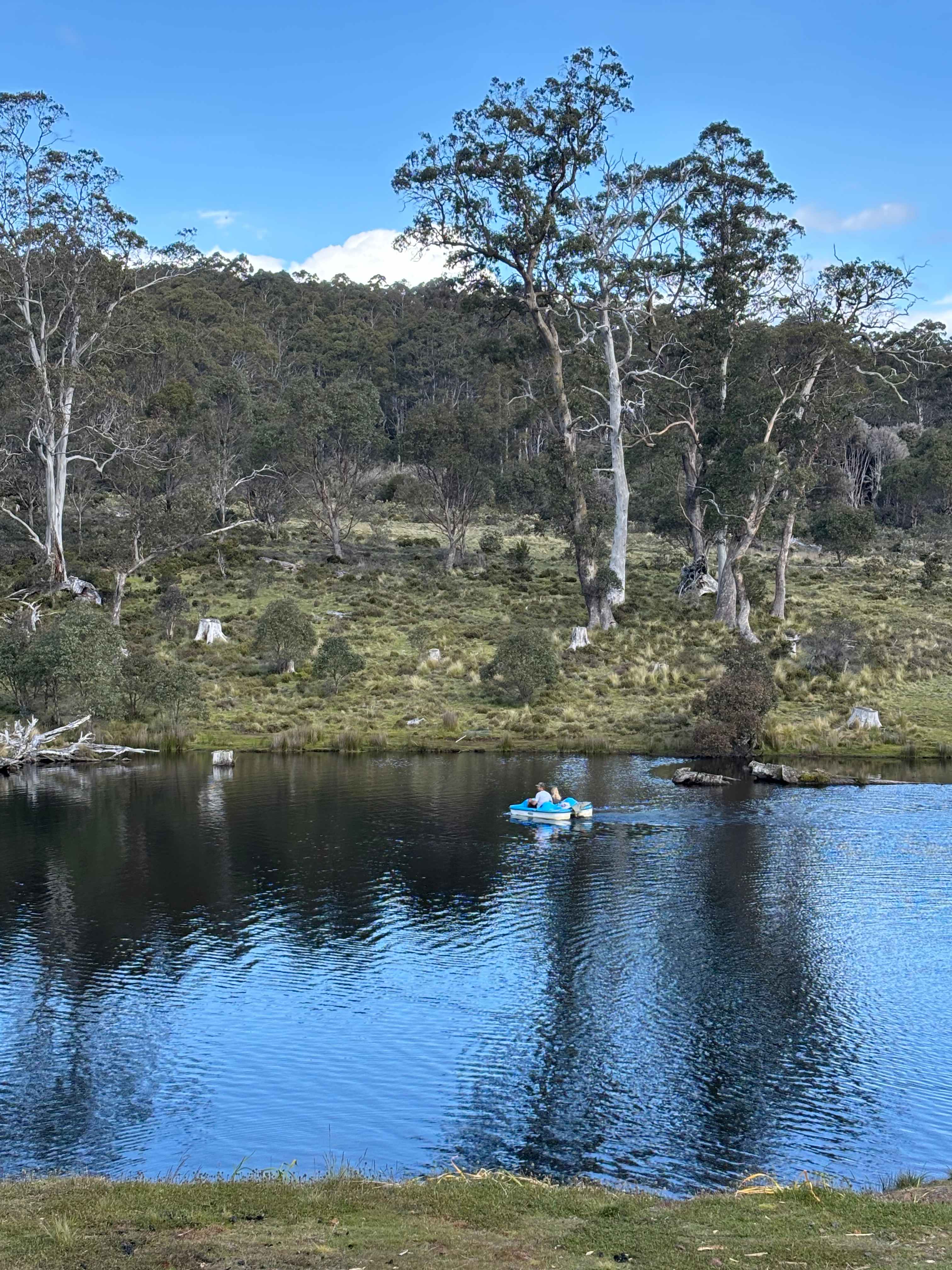 Cradle Mountain Fishery and Camping