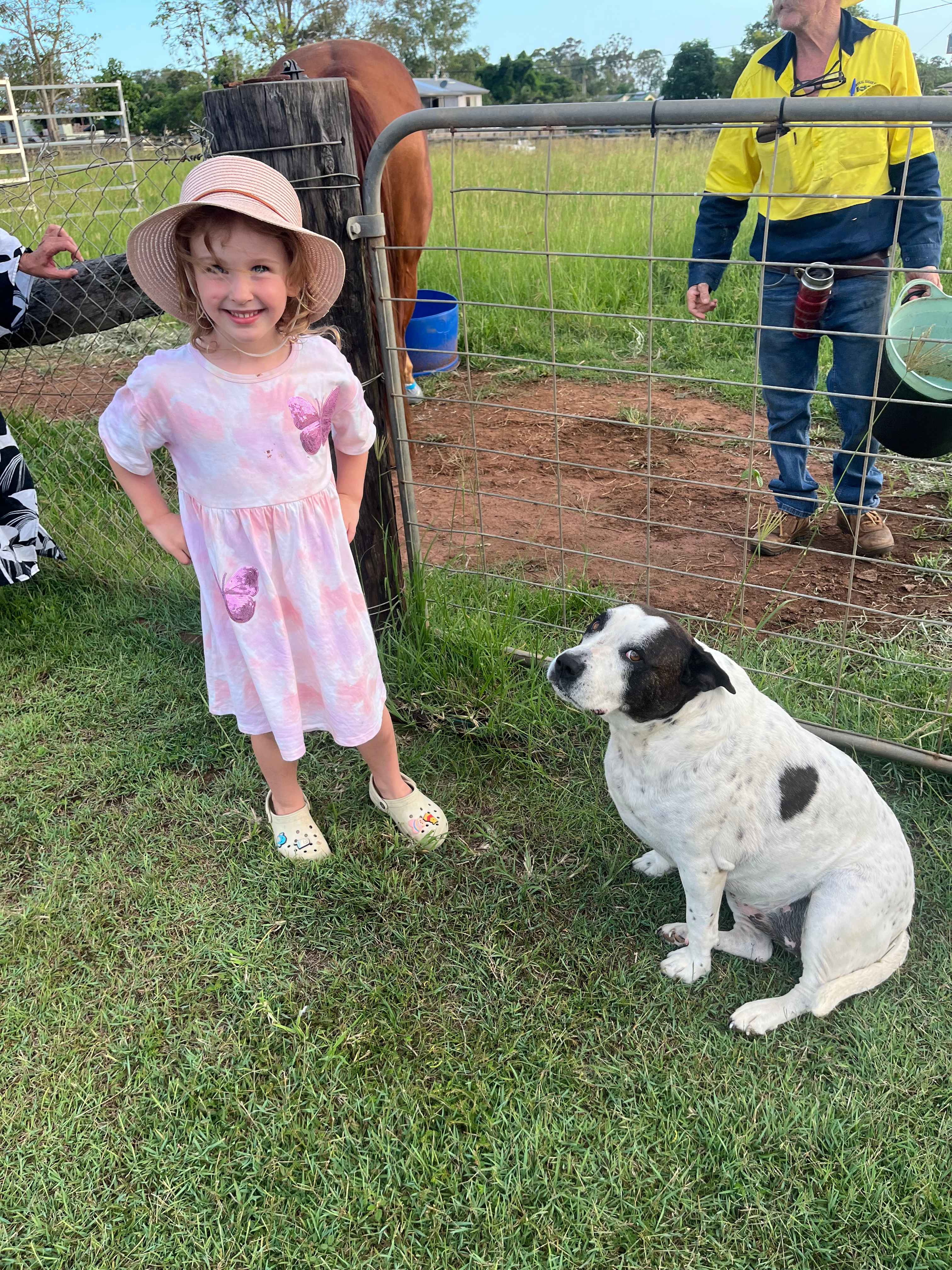 Sunrise Quarter Horse Stud