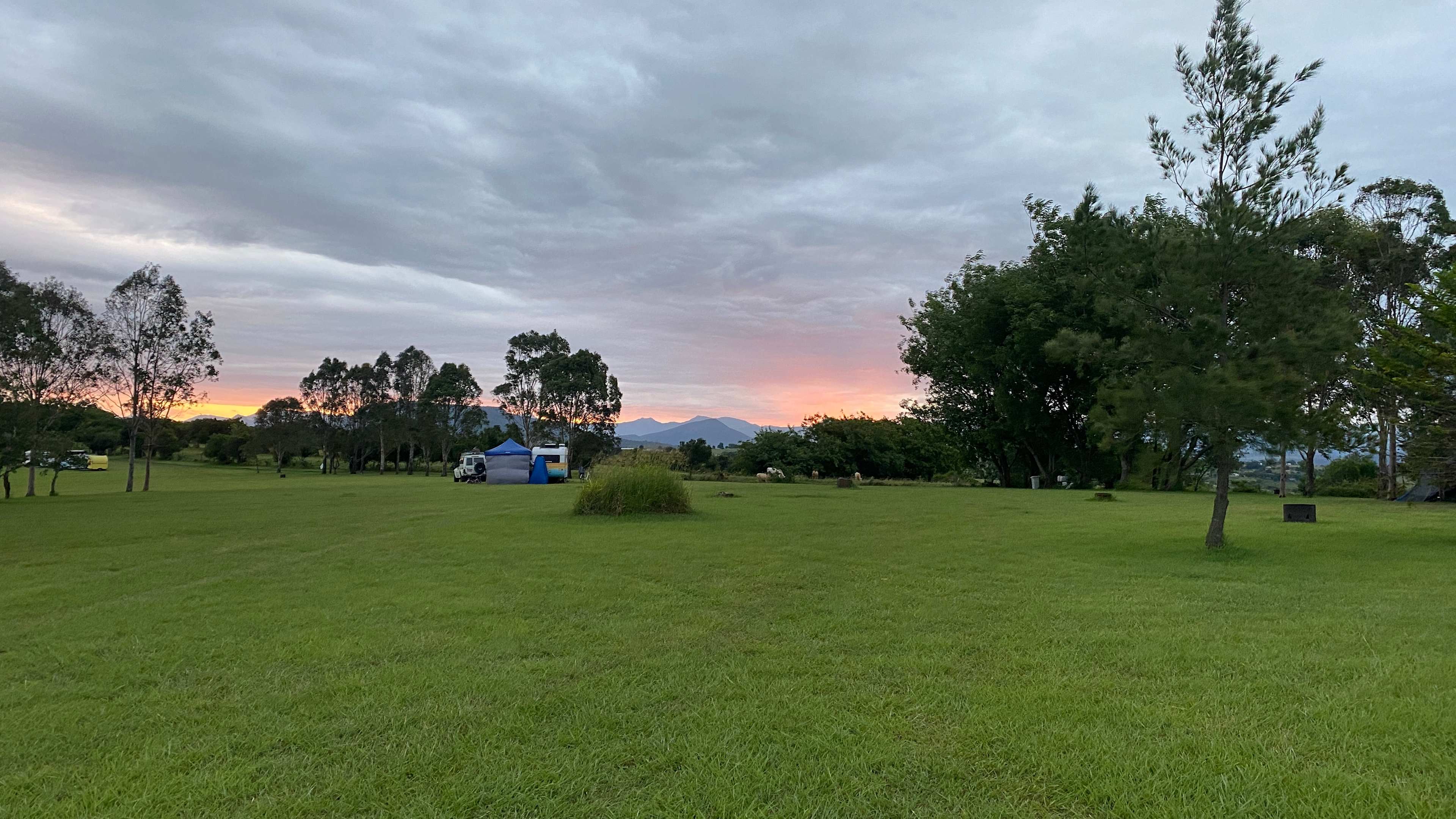 Olive View Estate - Stunning Views!