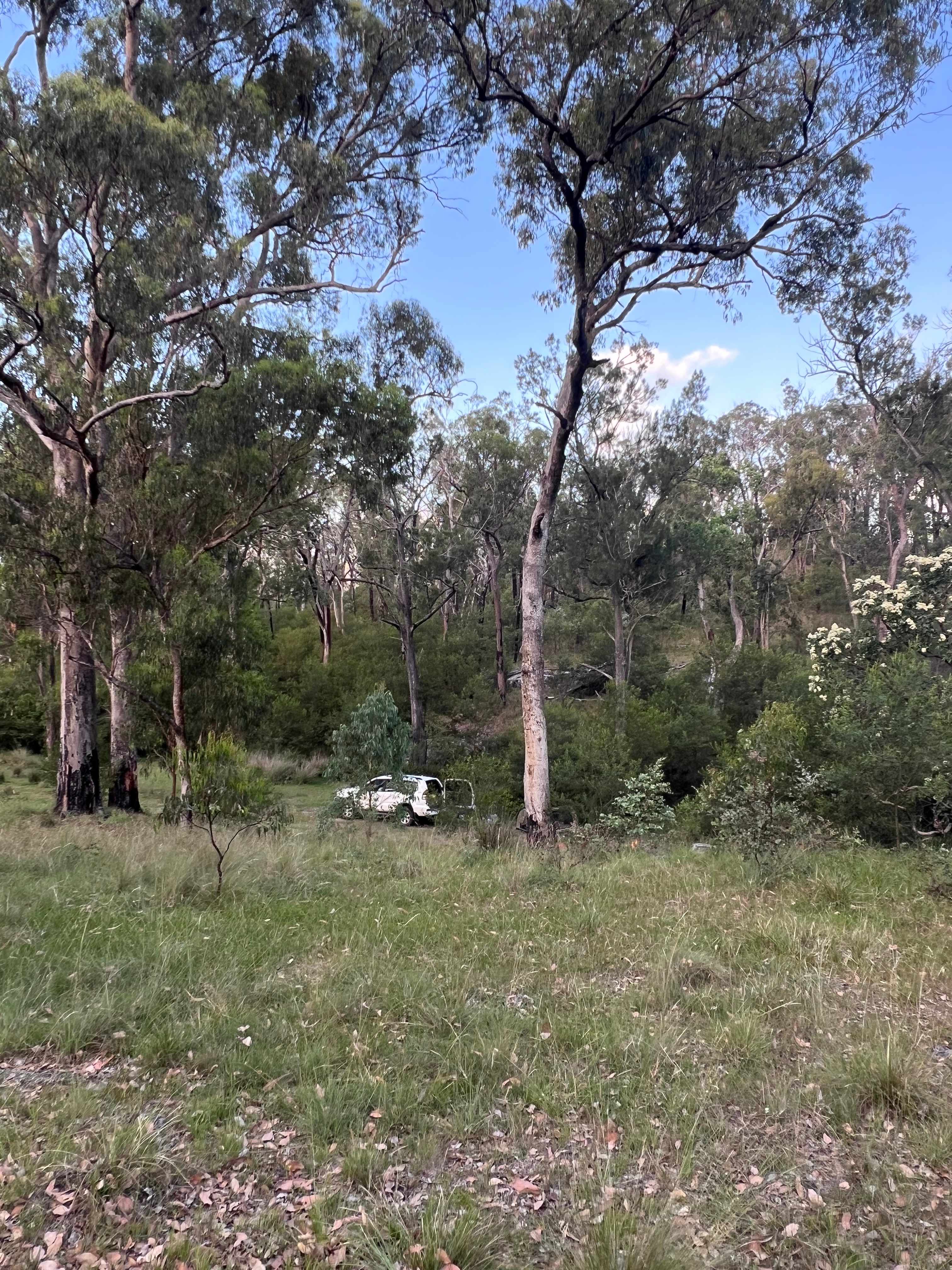 Splitters Swamp Creek Waterfall