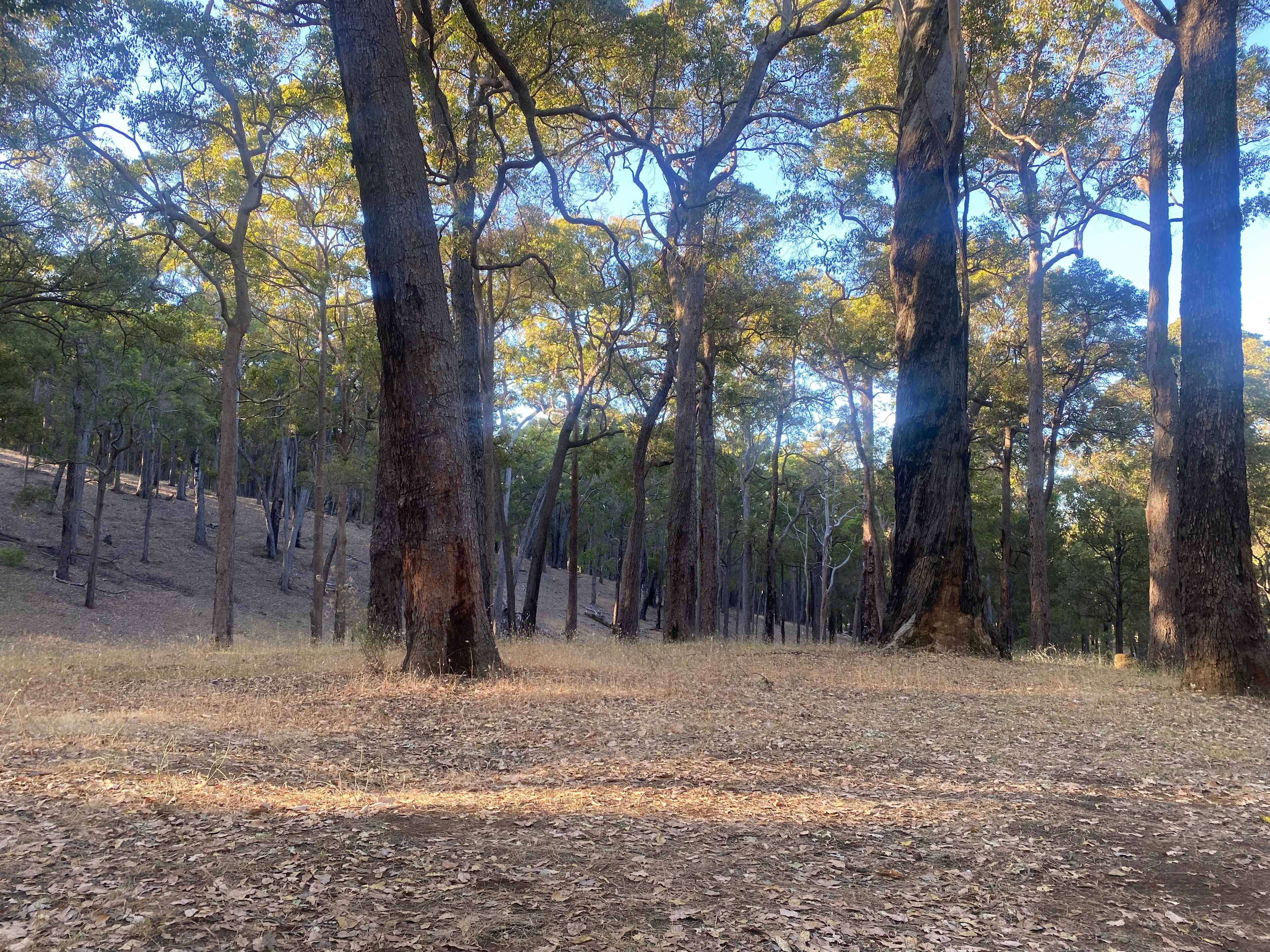 Parkland Bush Camp Mapanap