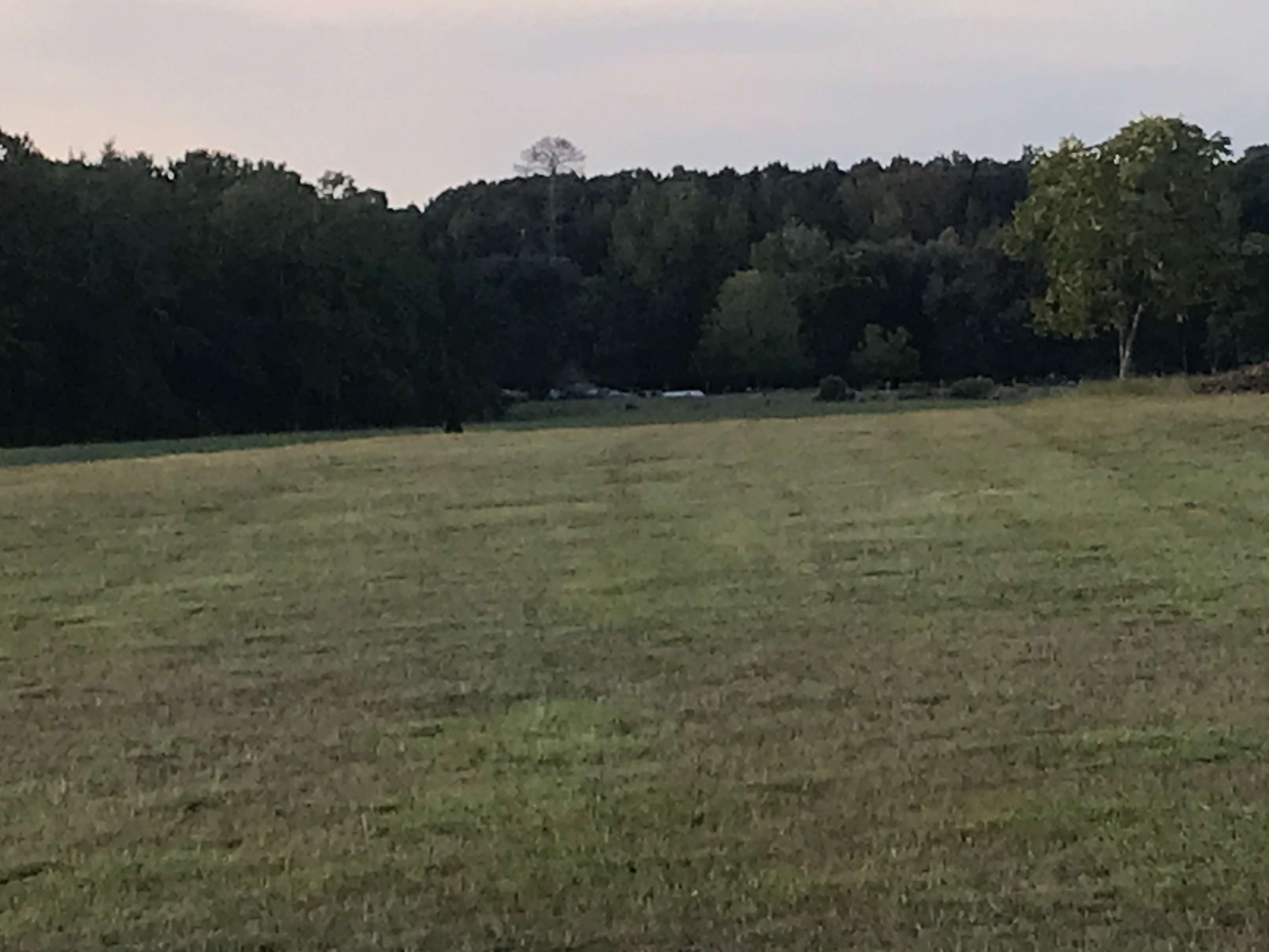 Rv space approximately 5 acres near rear of the property