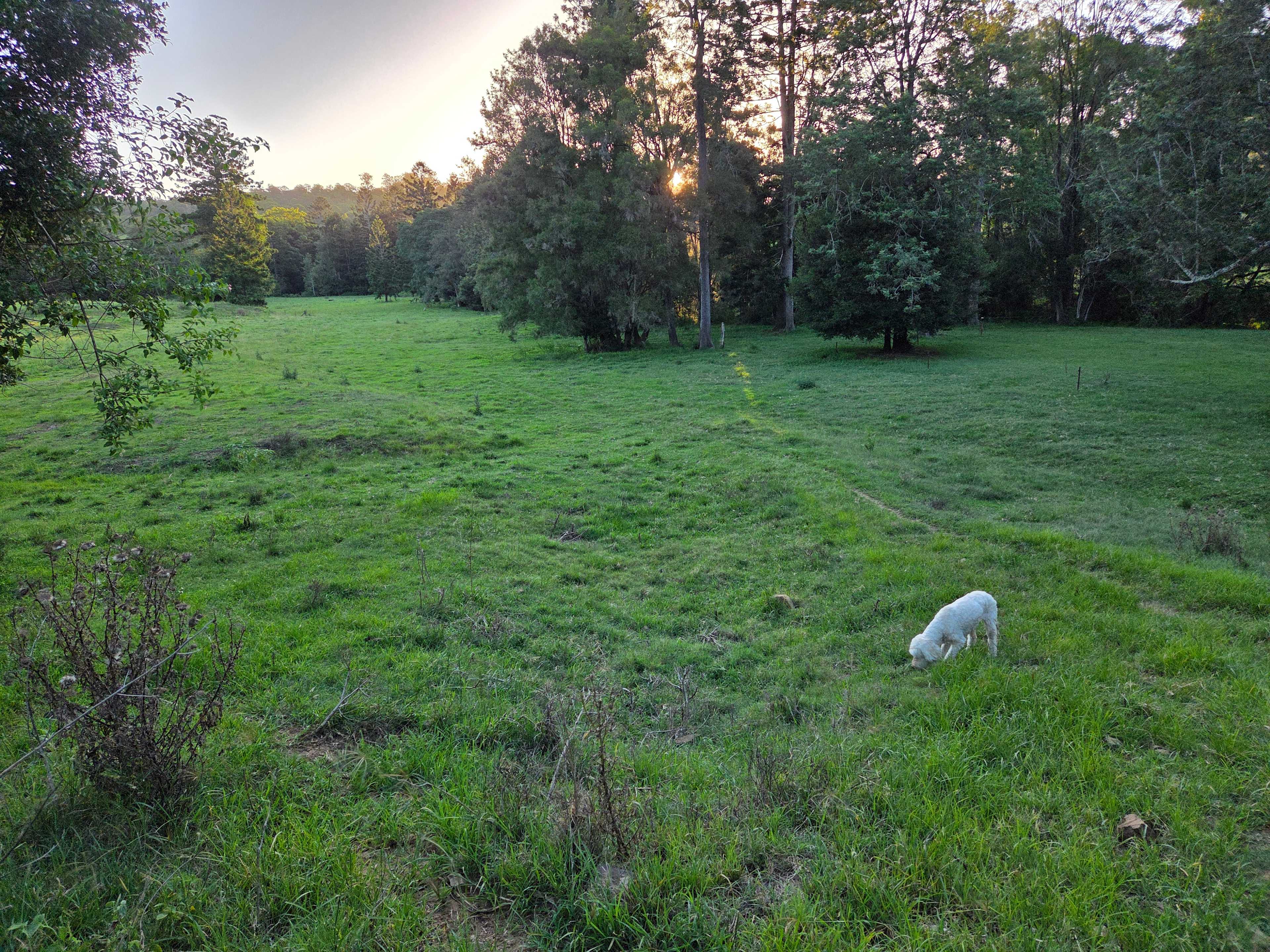 Tyungun Country Retreat