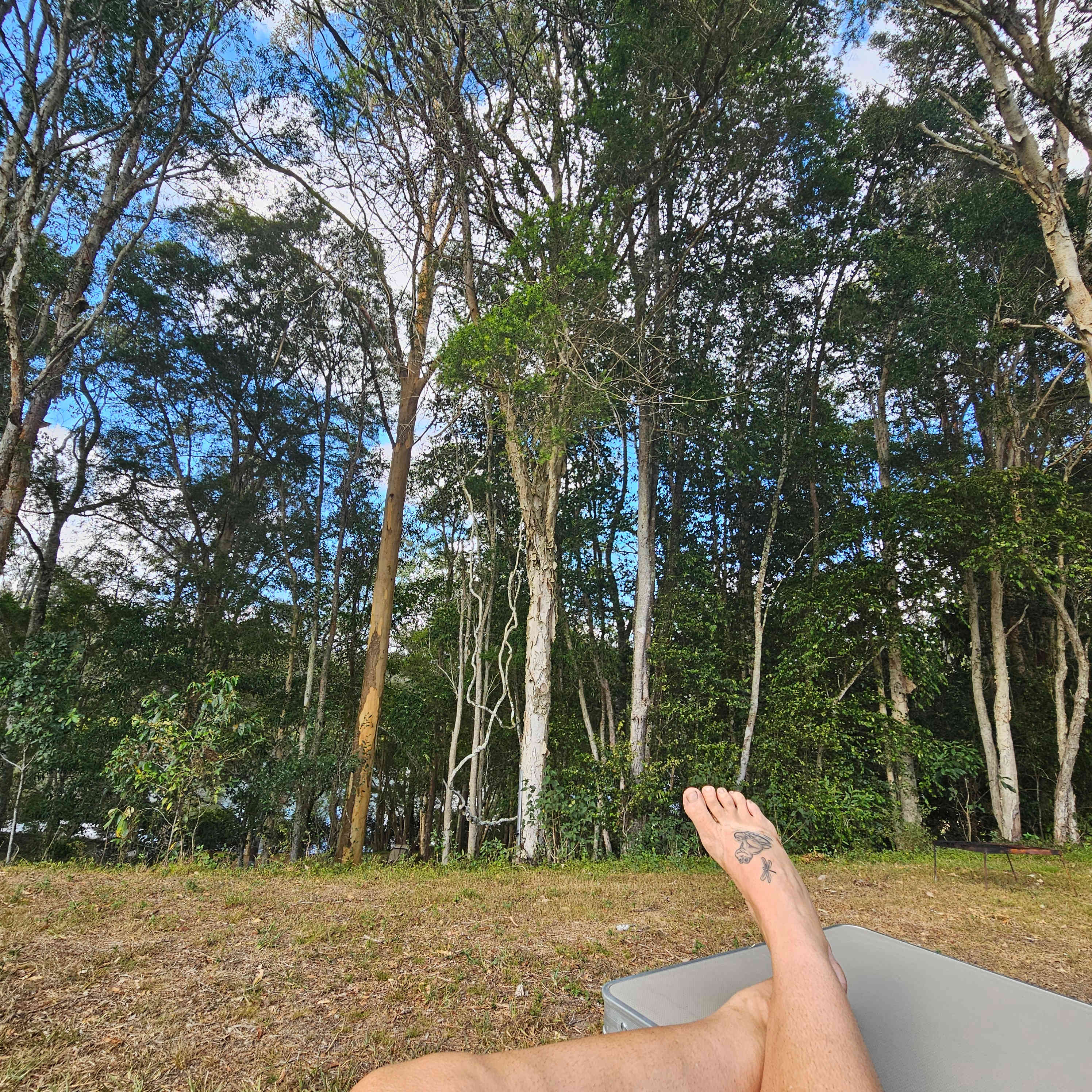 The Riverside Farm Escape Minimbah