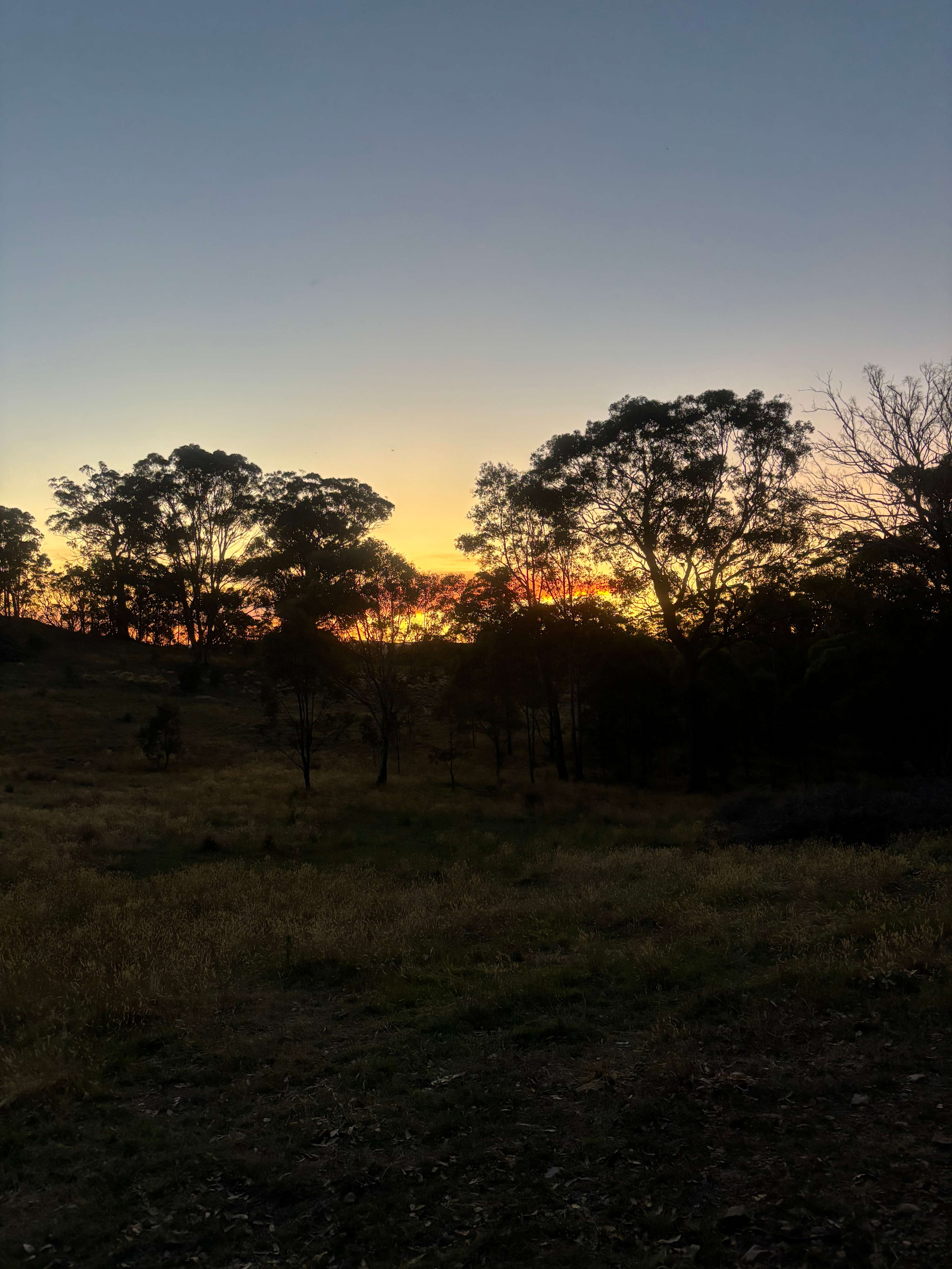 Wildwoods - Private bush surrounds