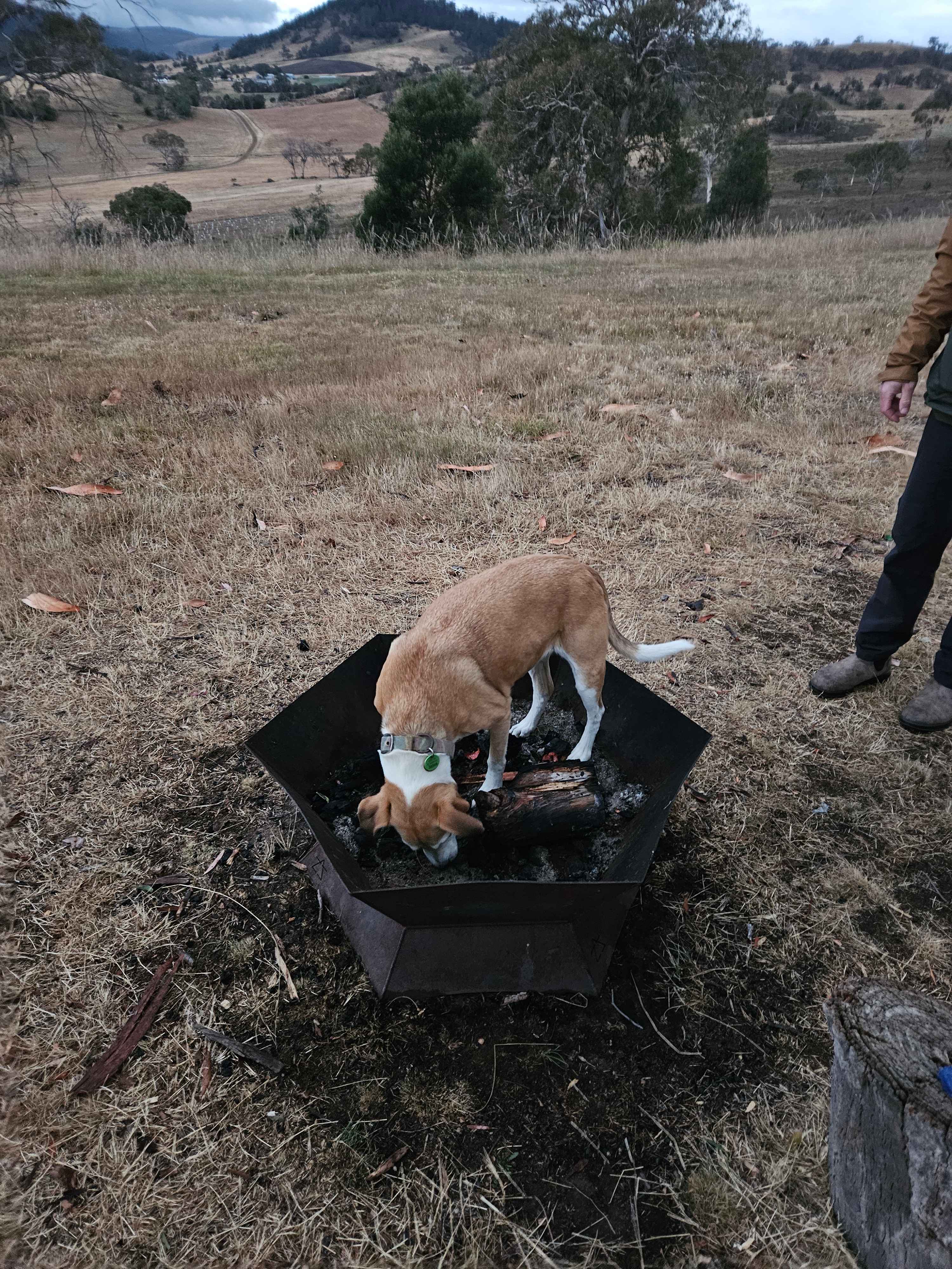 Prossers Ridge Richmond