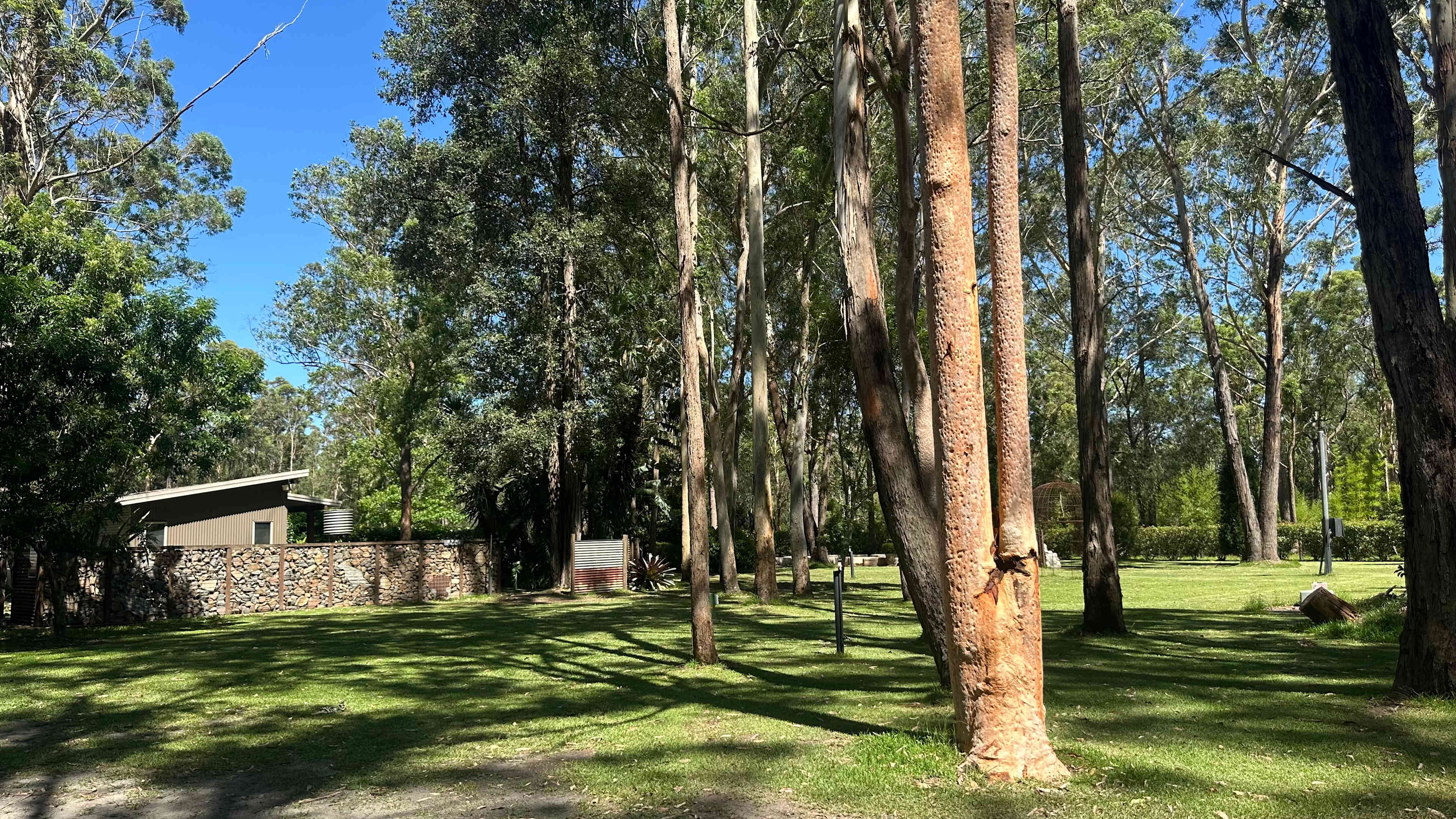 Mistinthegumtrees BUDGET 2 GLAMPING