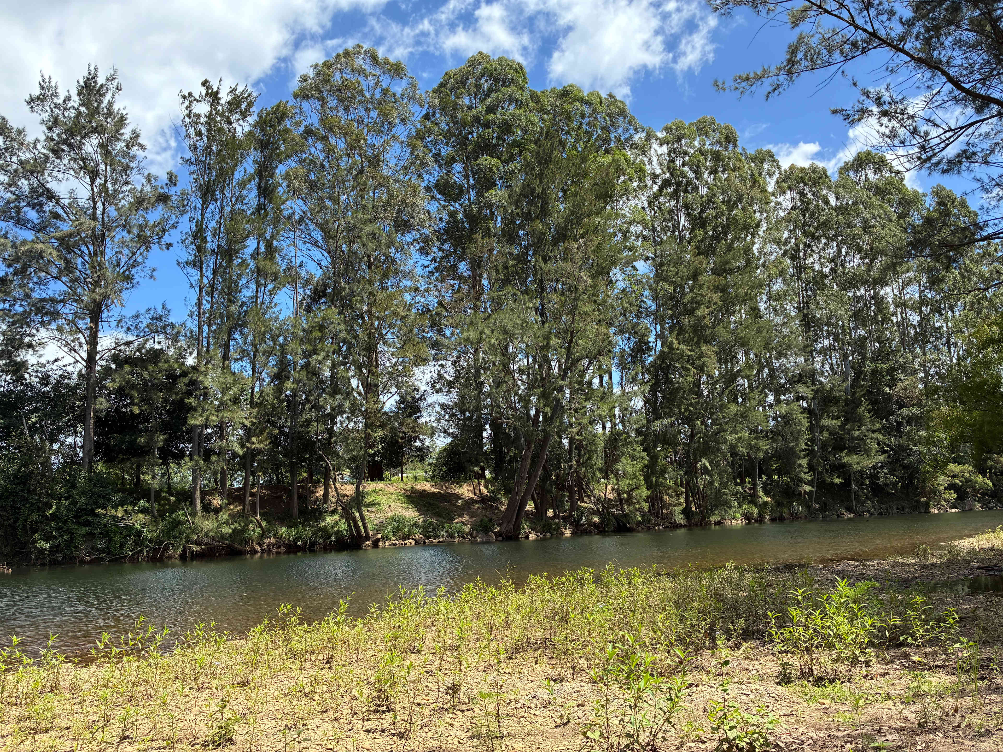 Cool down with a dip 