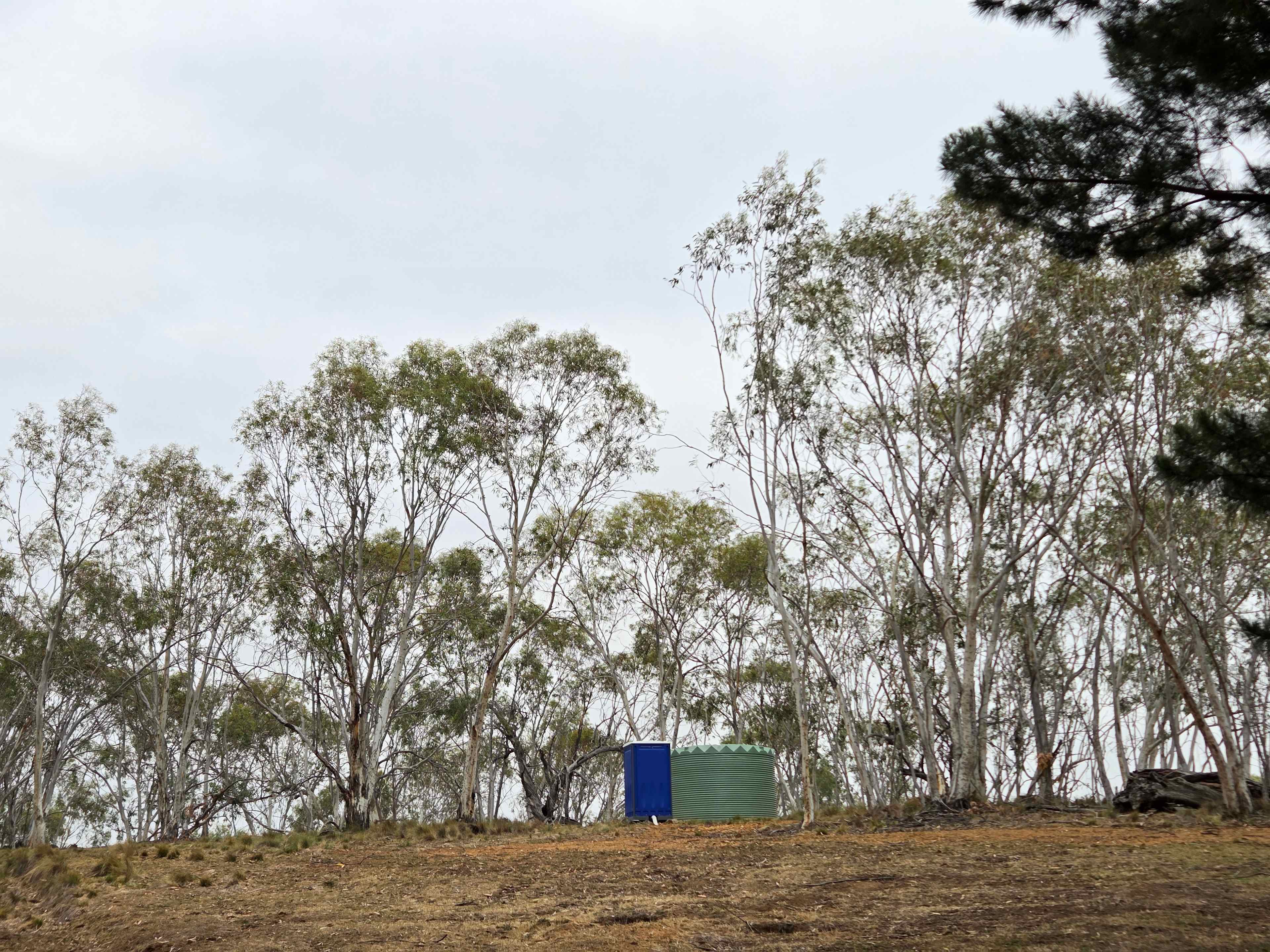 Wombat Pines - Glamping and Camping