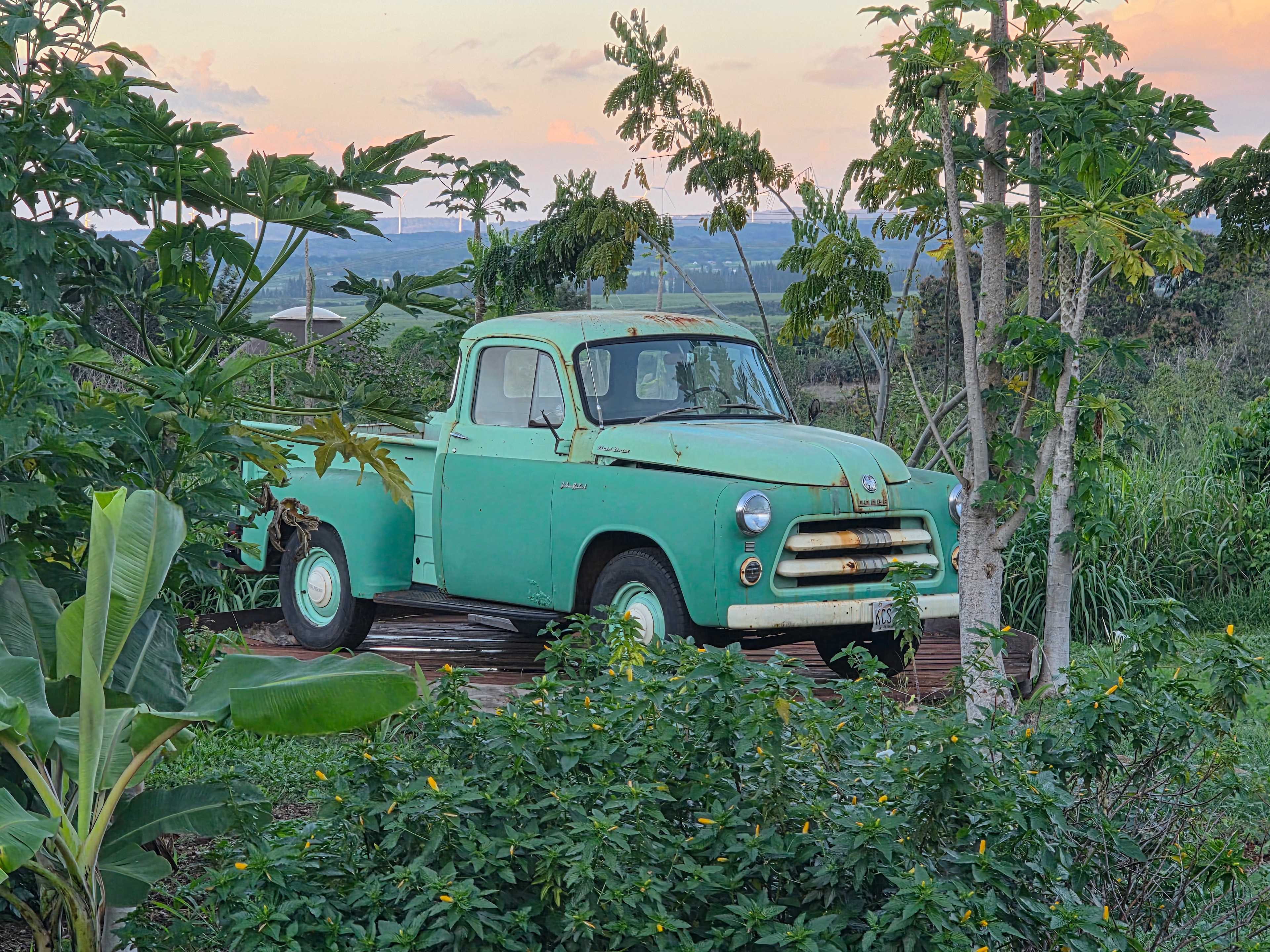 Living Circle Farms Hawaii