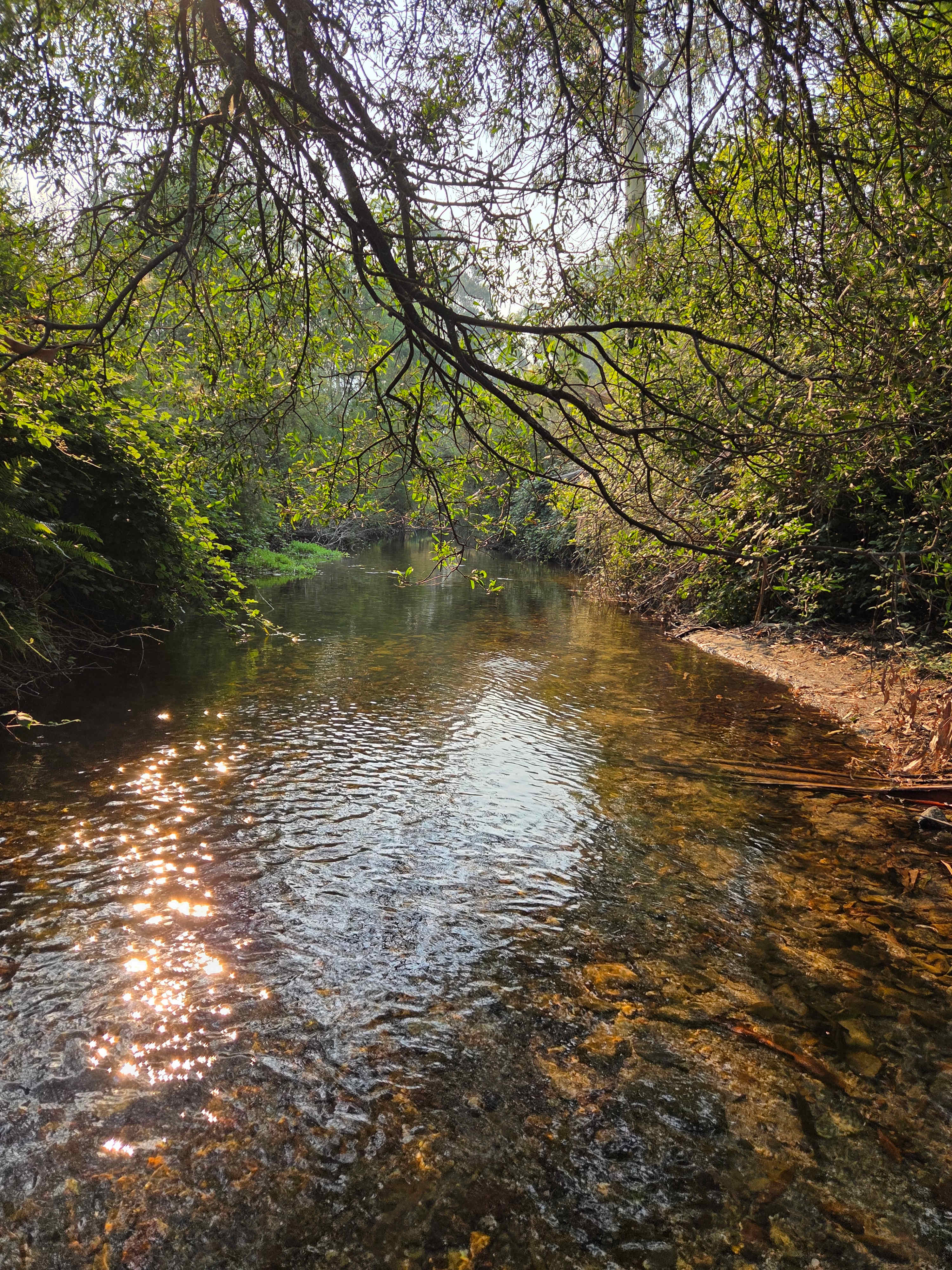 High Country Paradise