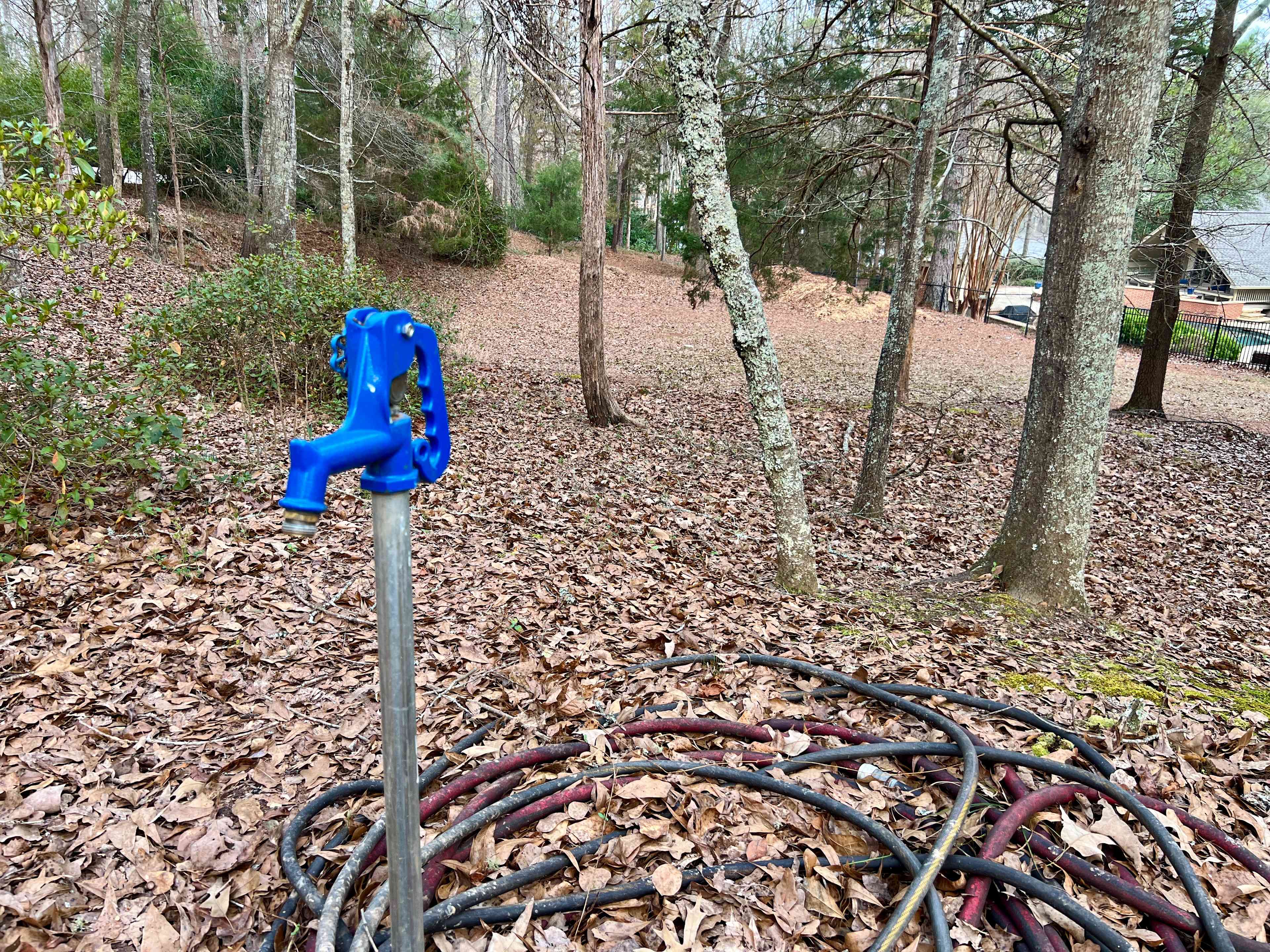 Picture of the site