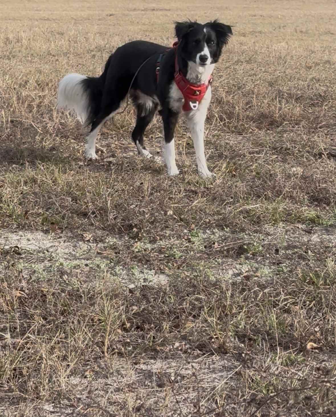 Dakota’s first camping trip of 2026
