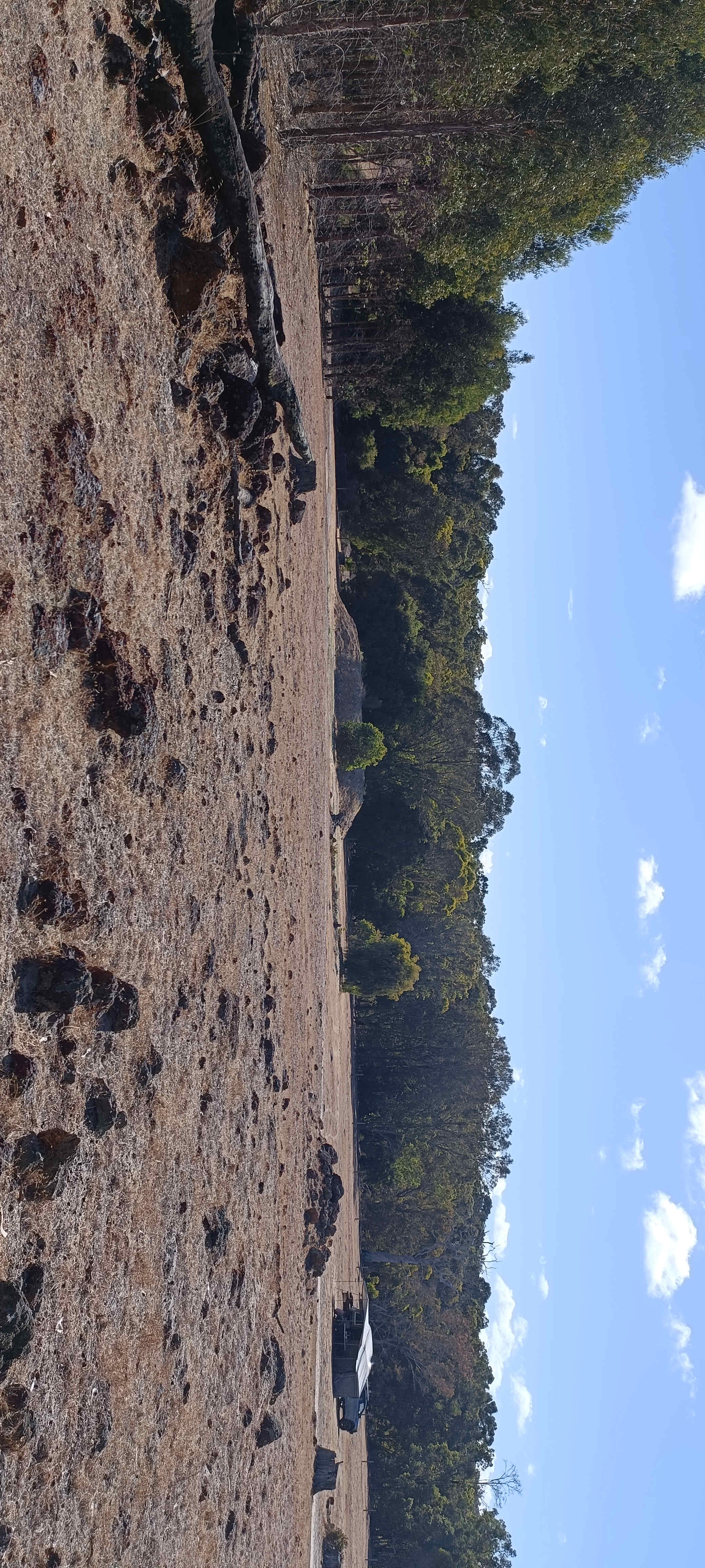 All this space is yours