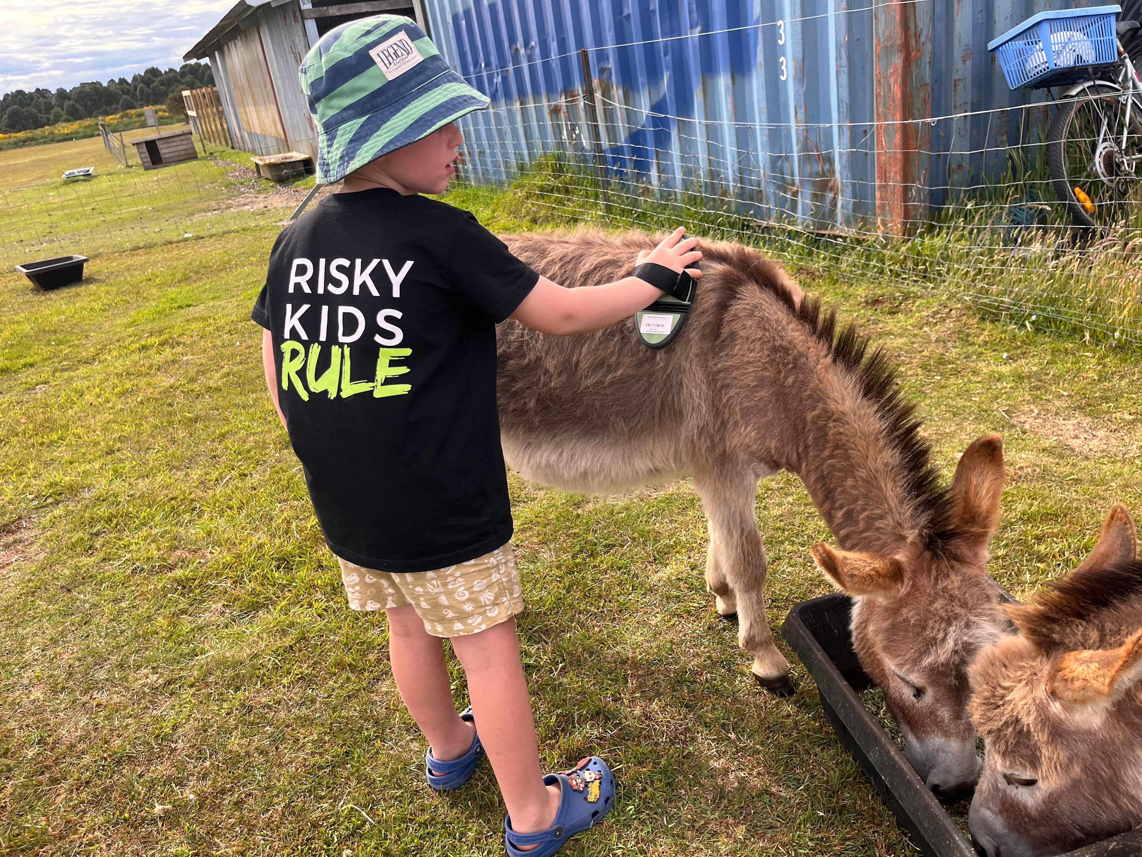 Waratah Alpaca and Pepperberry Farm