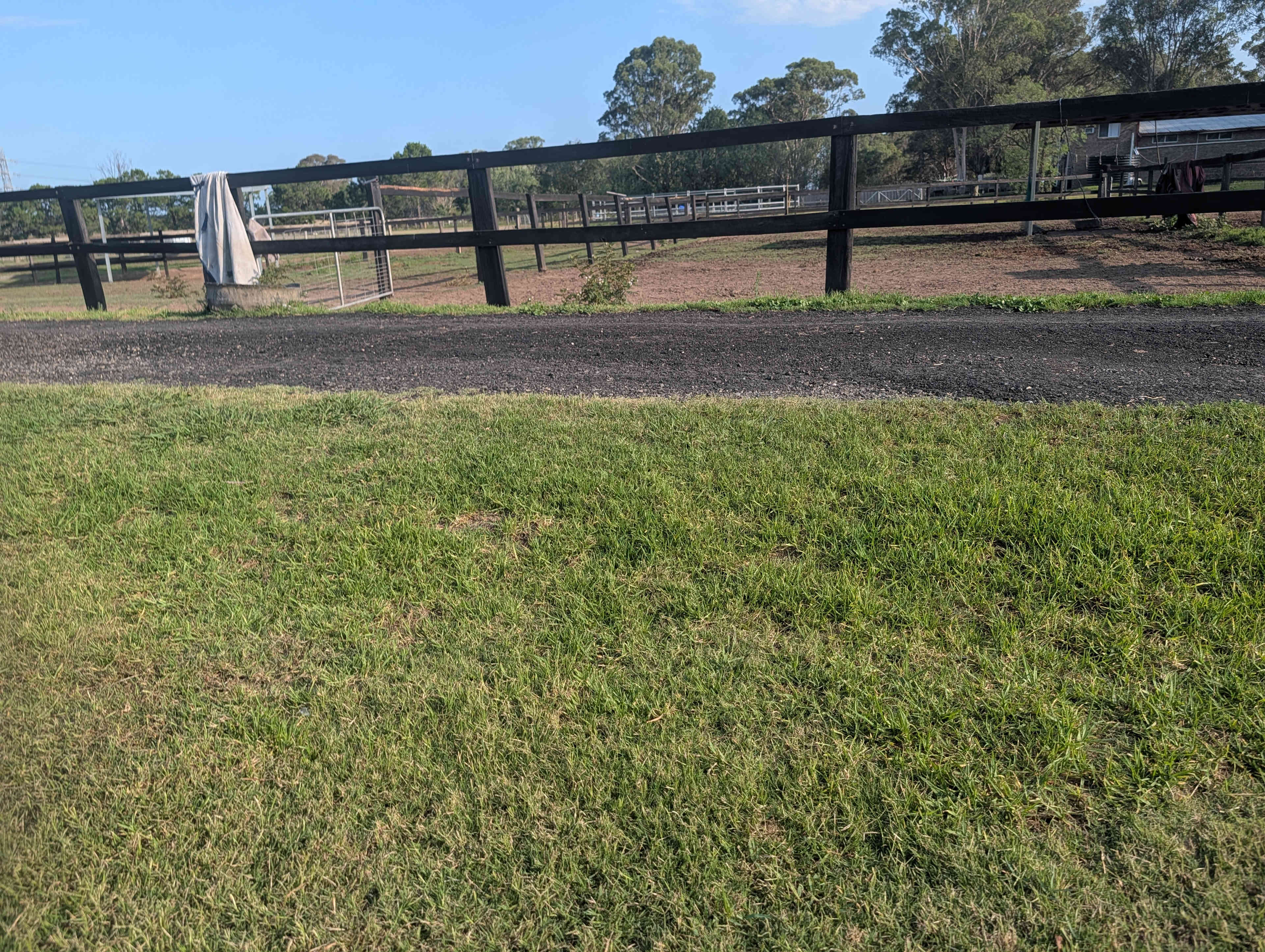 Peppertree Pony Camp