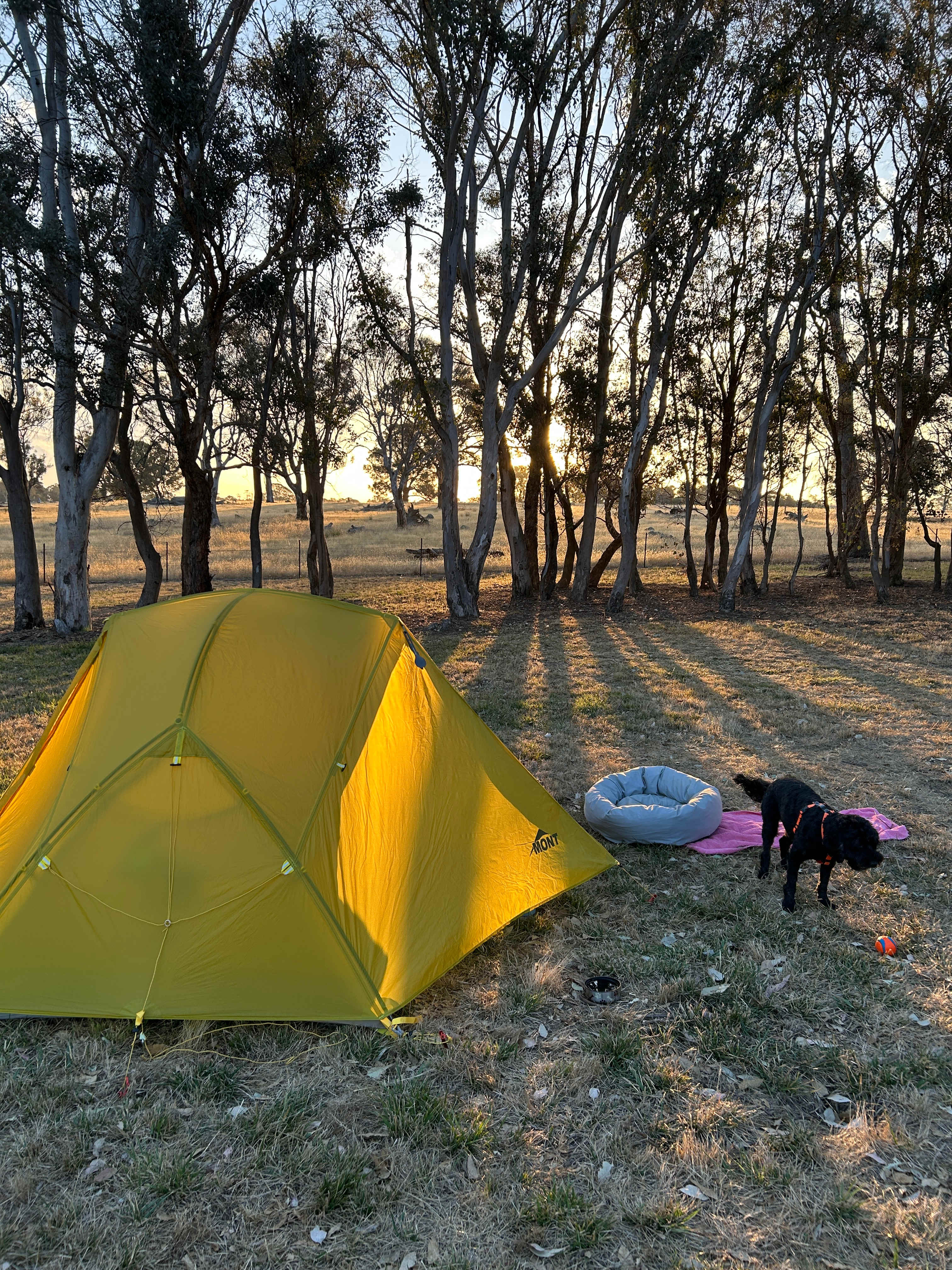 Coots Creek Campground