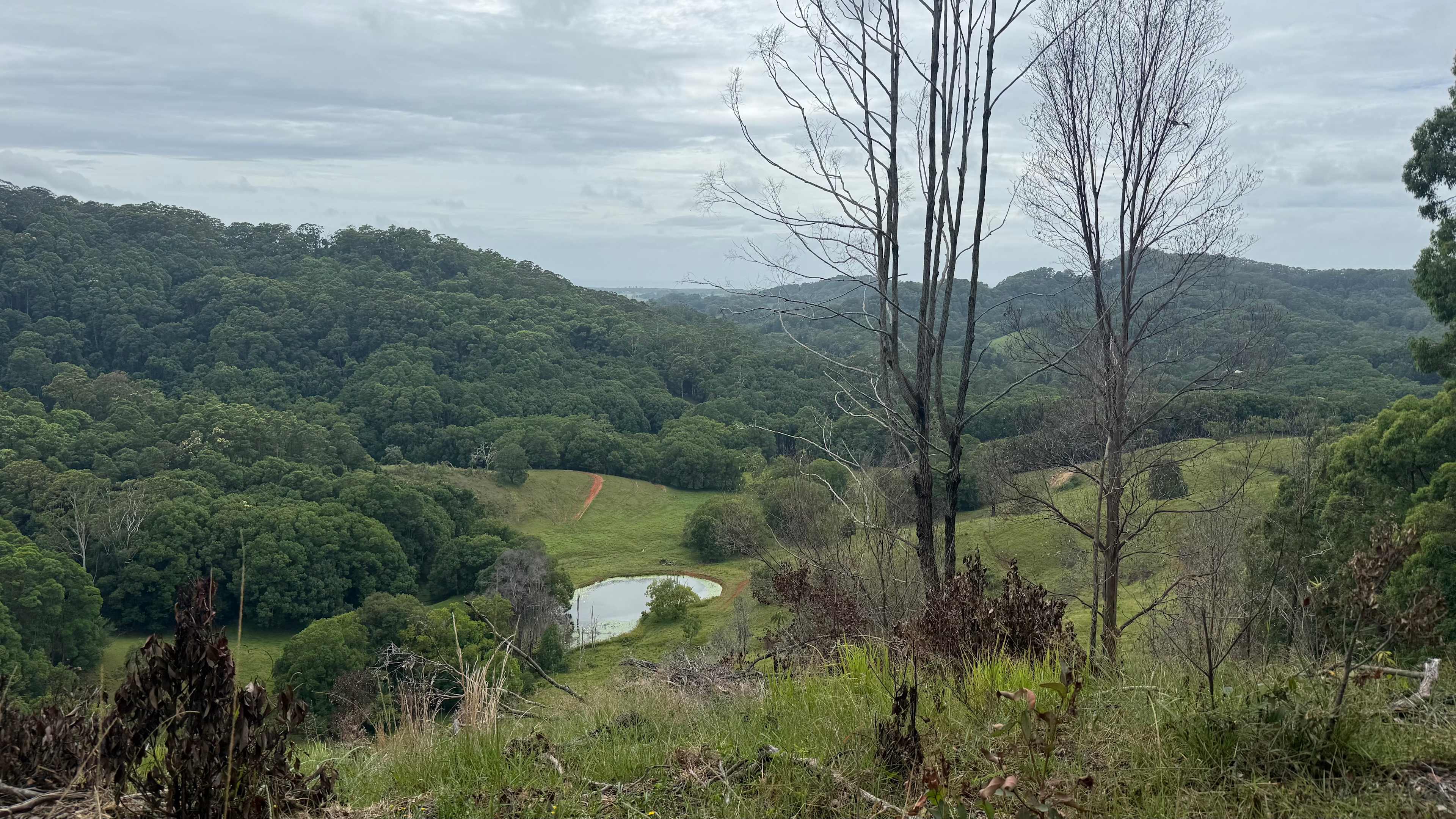 View from our hike in the area…..other part of Nick’s property