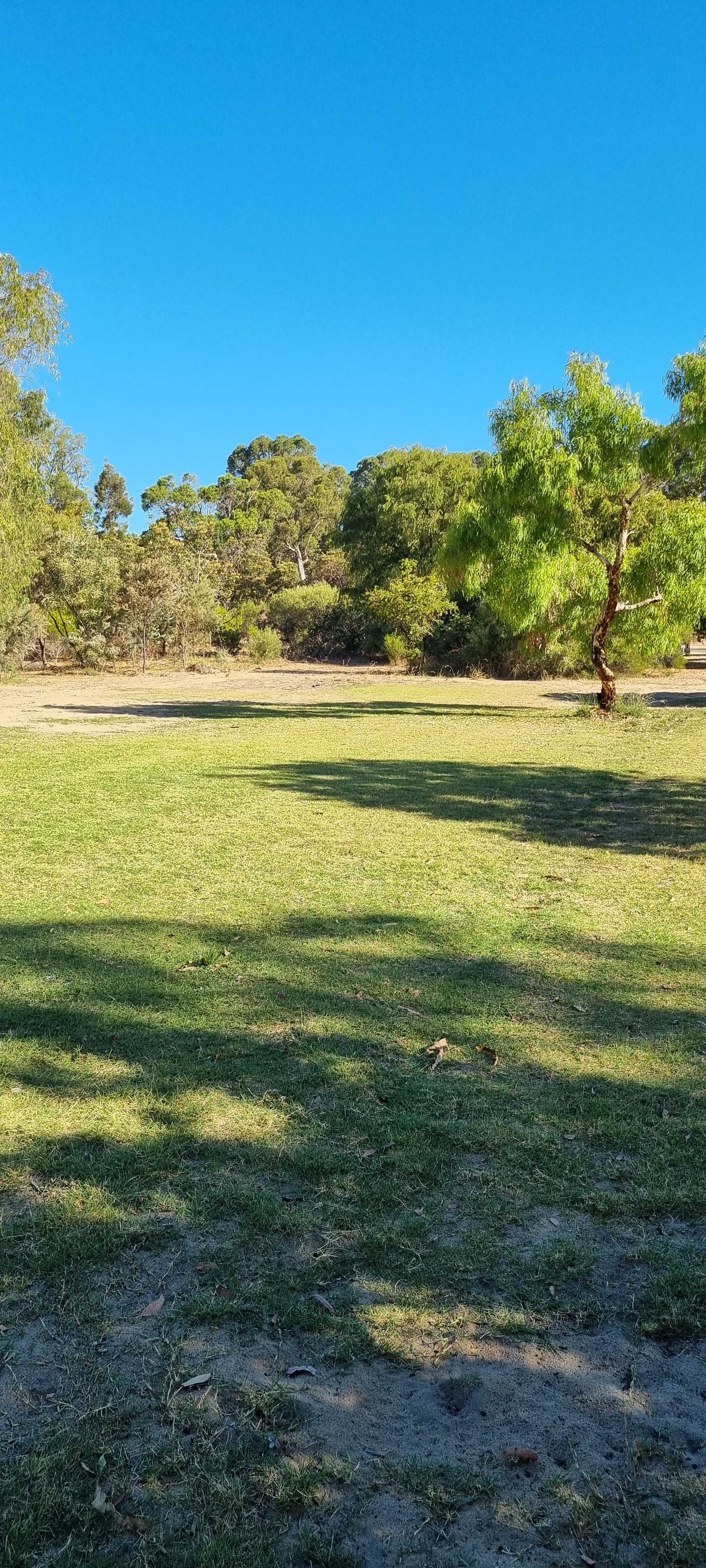 Paws & Feathers Farm