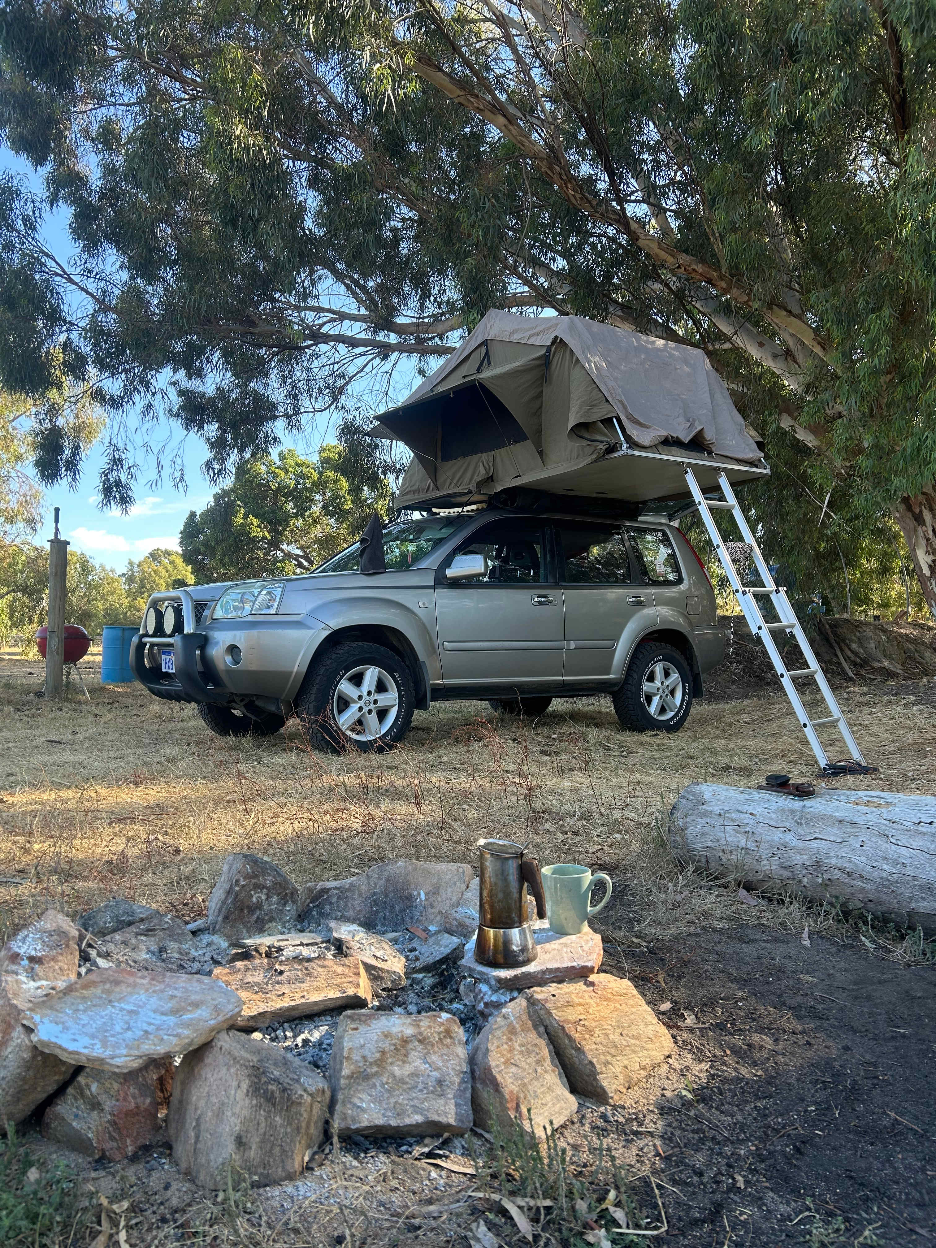 Everything Horses Ltd