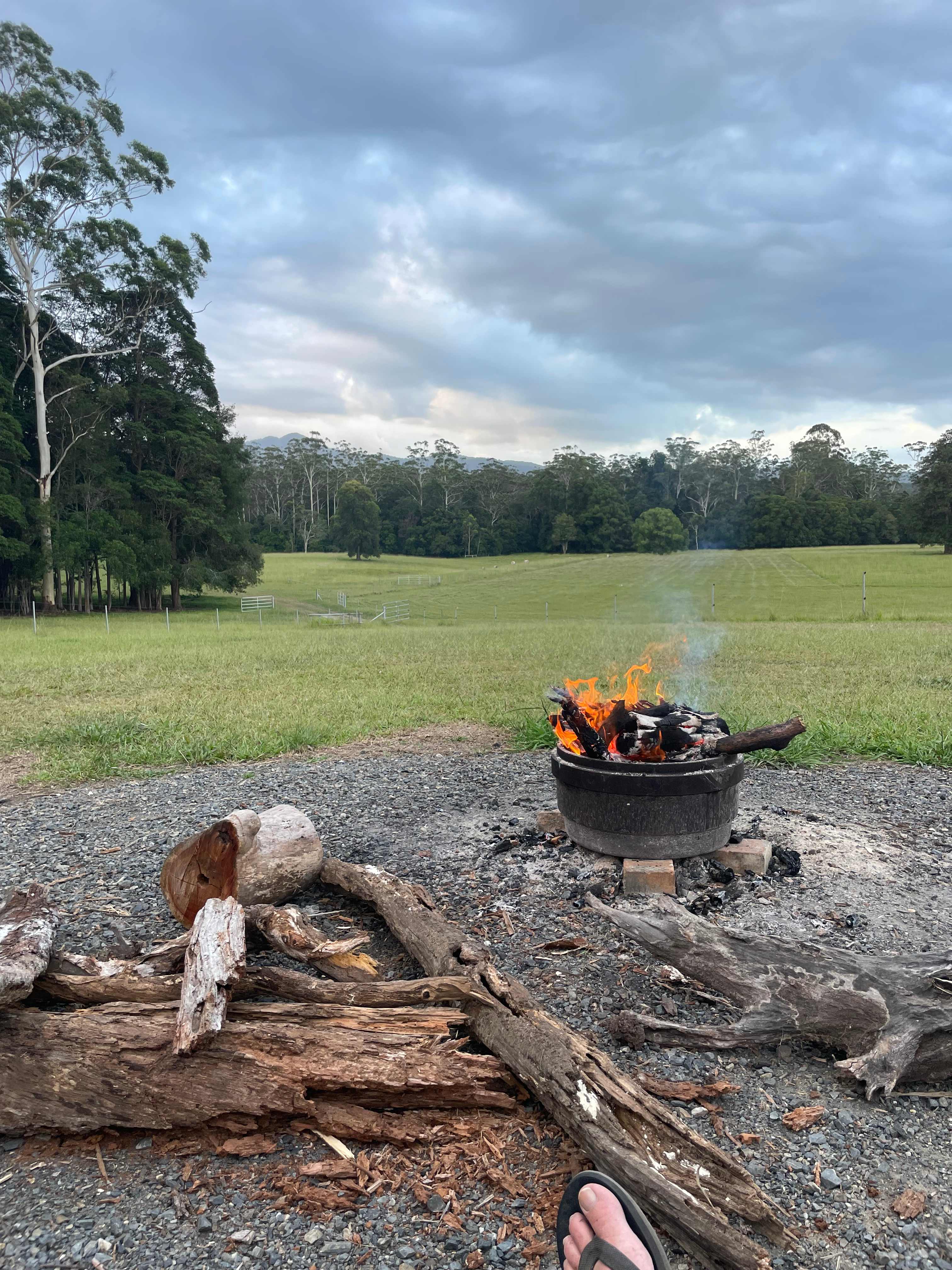 Nice setup fire pits throughout the grounds. 