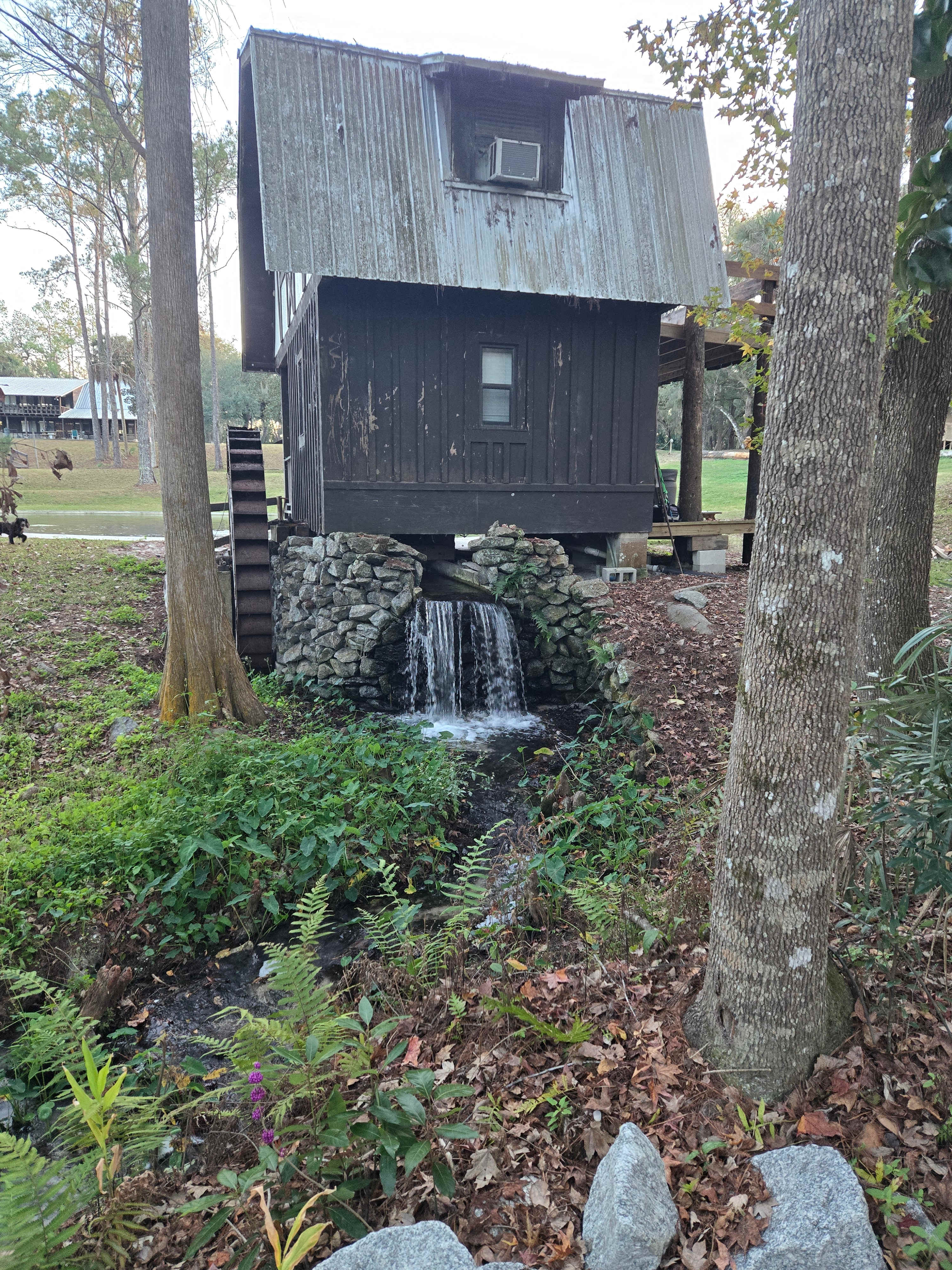 Camp Seminole Springs