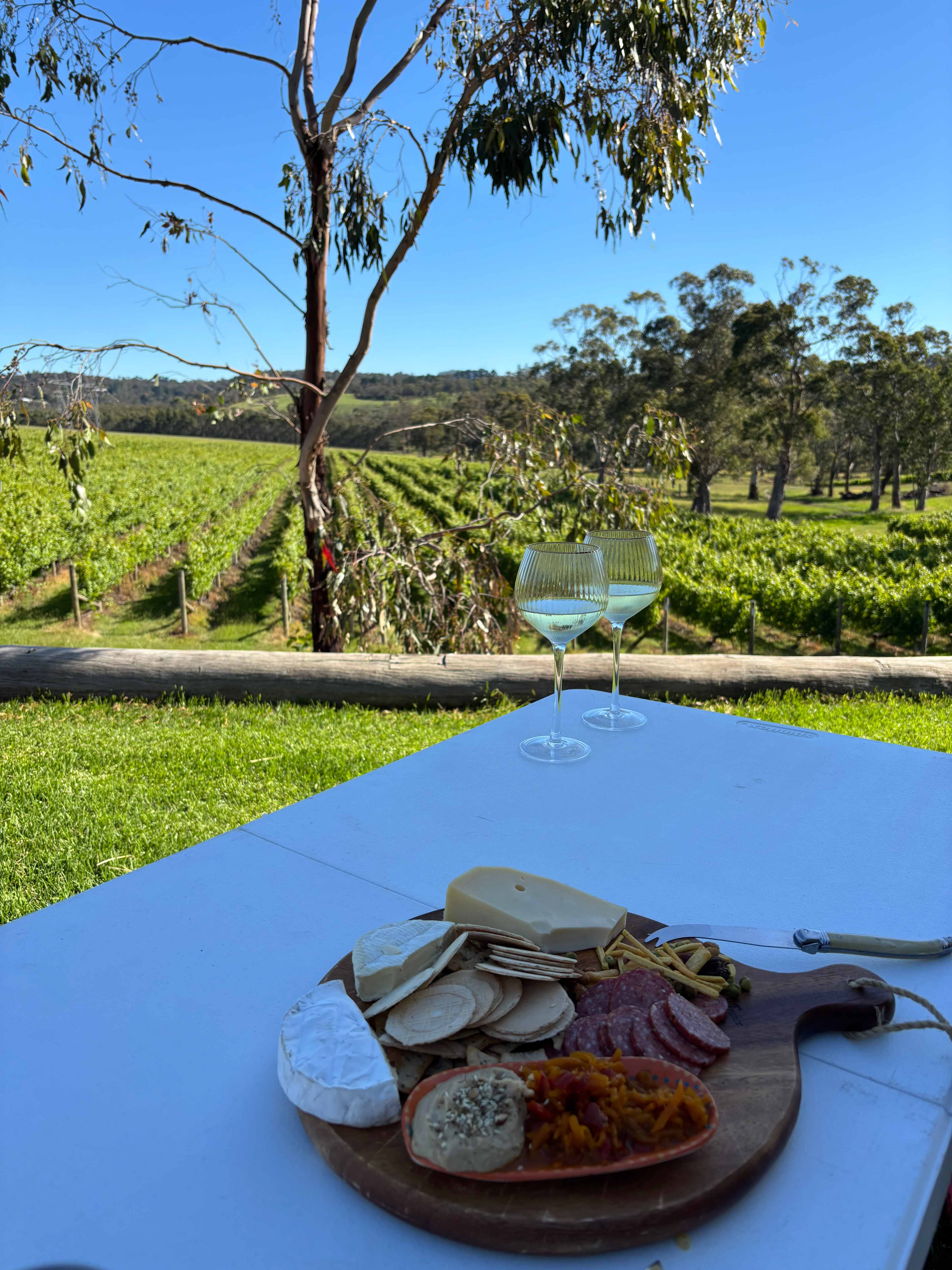 Yarra Valley Vineyard Views