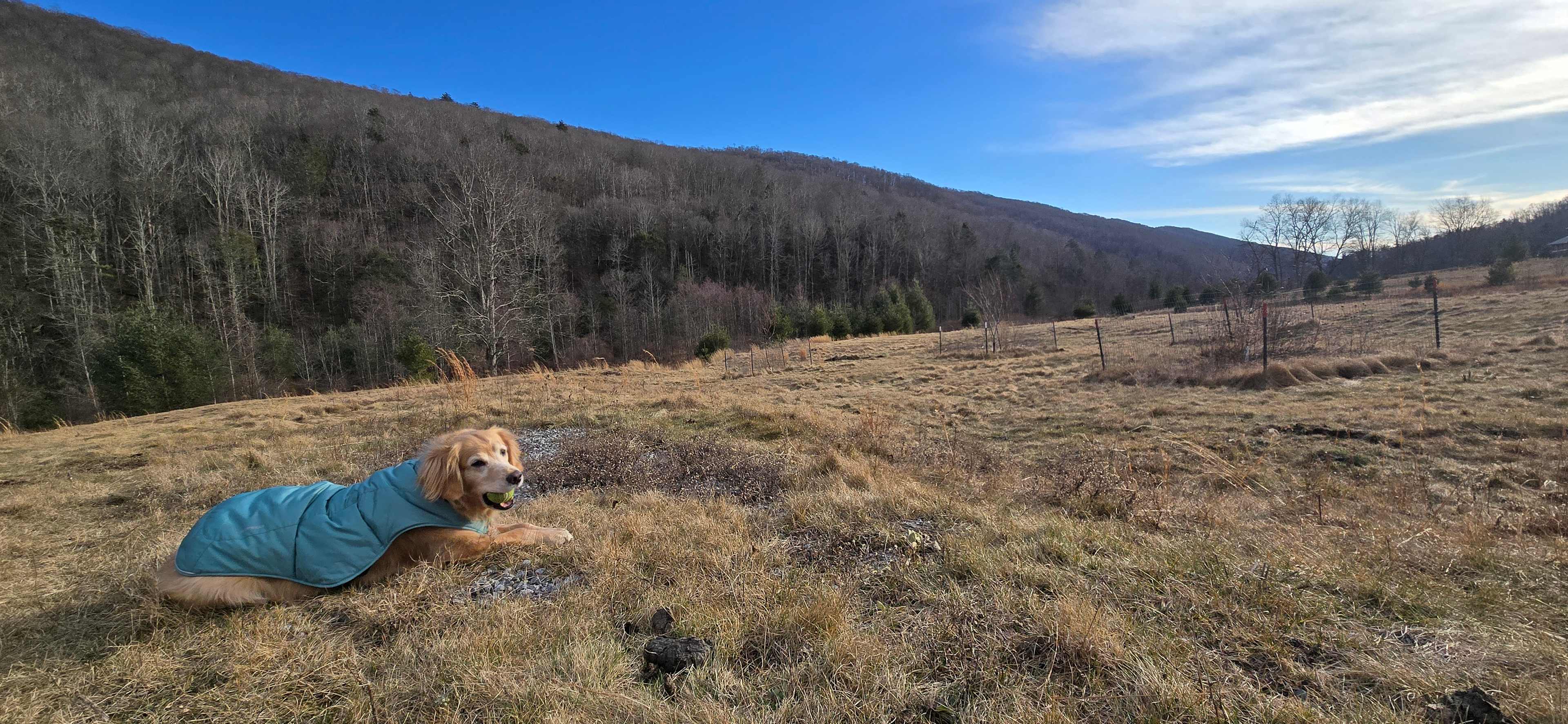 Homestead Overland Virginia