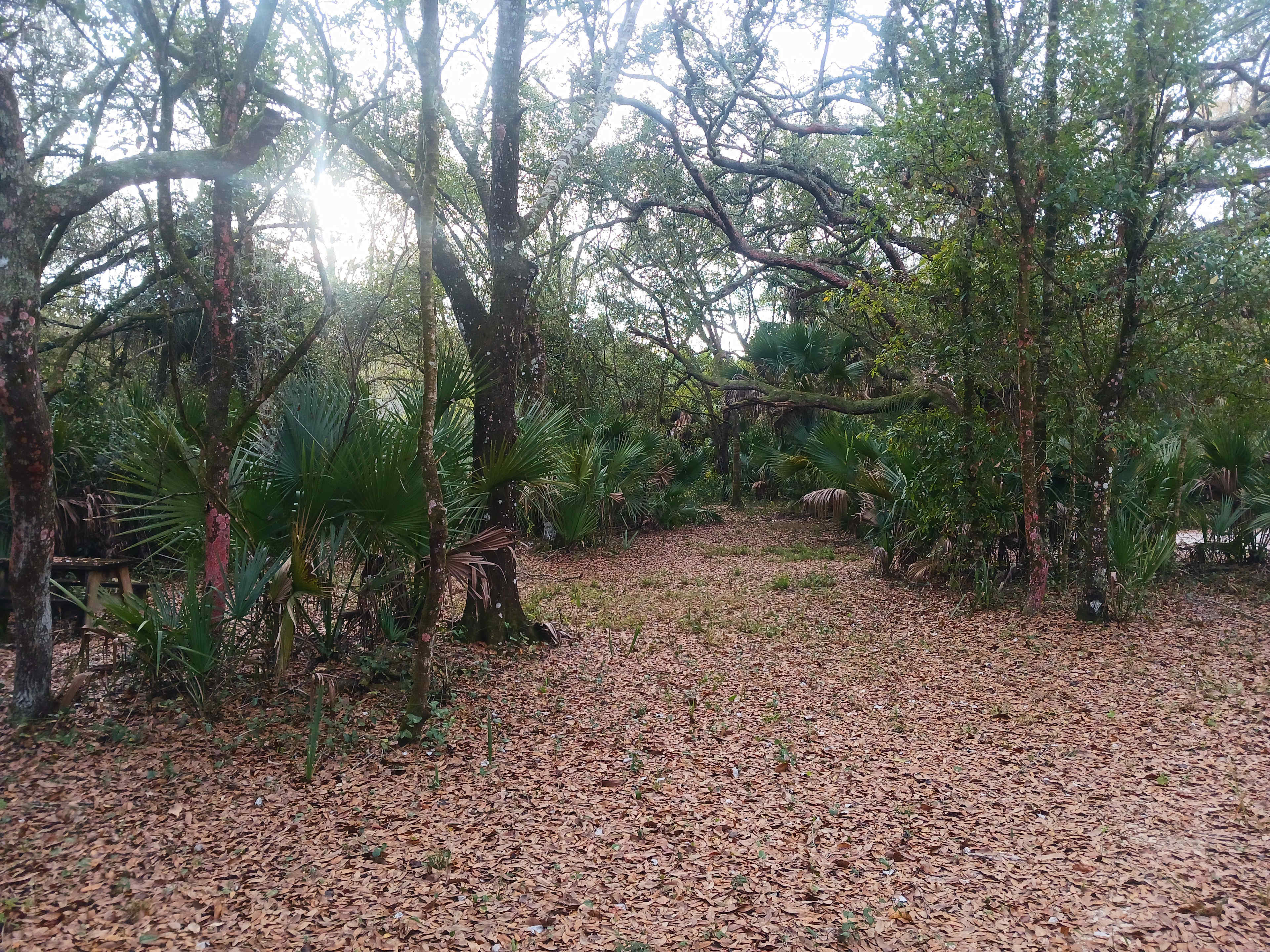 Saint Lucie Farm Preserve