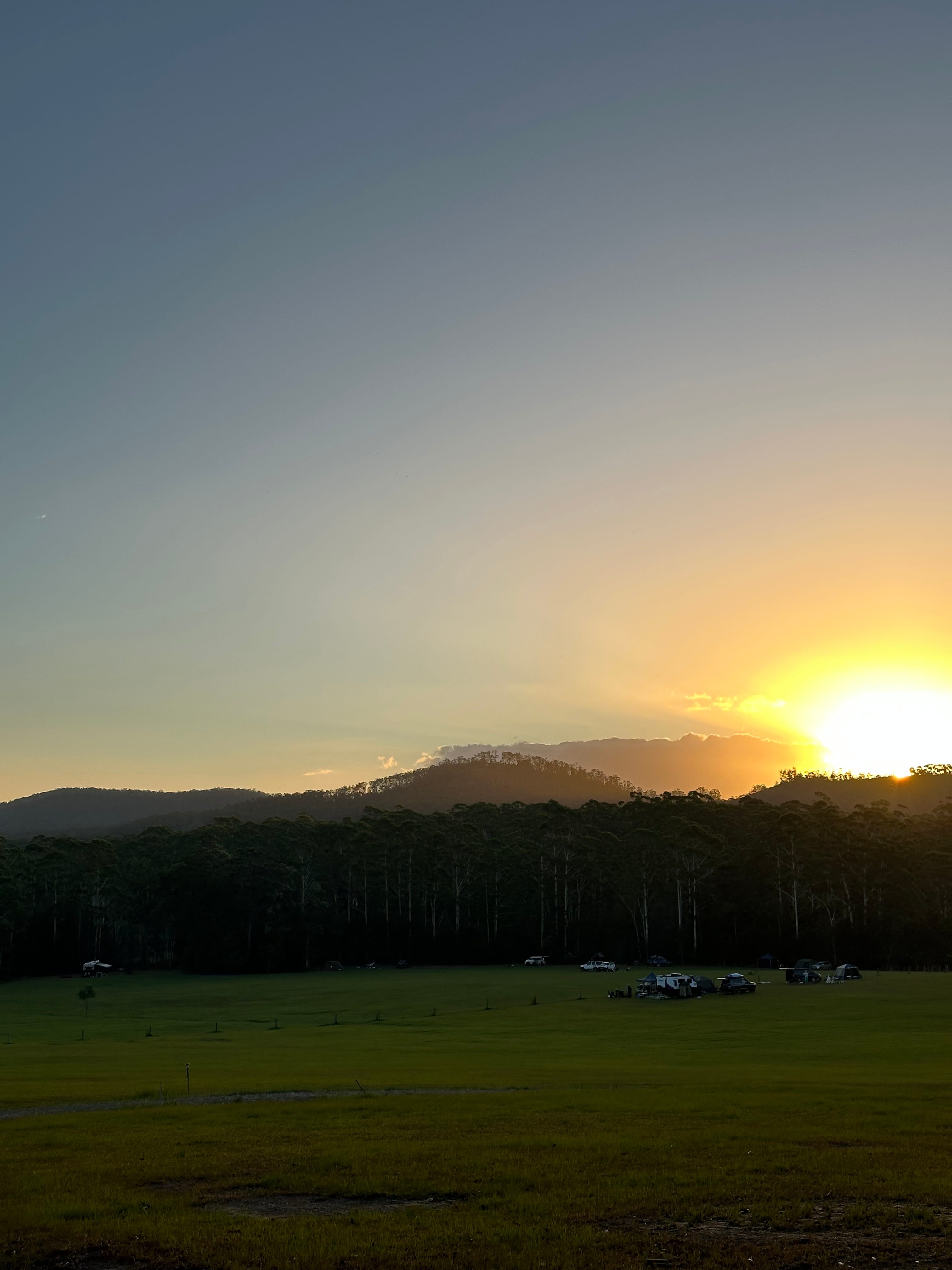 Spirit of the Forest