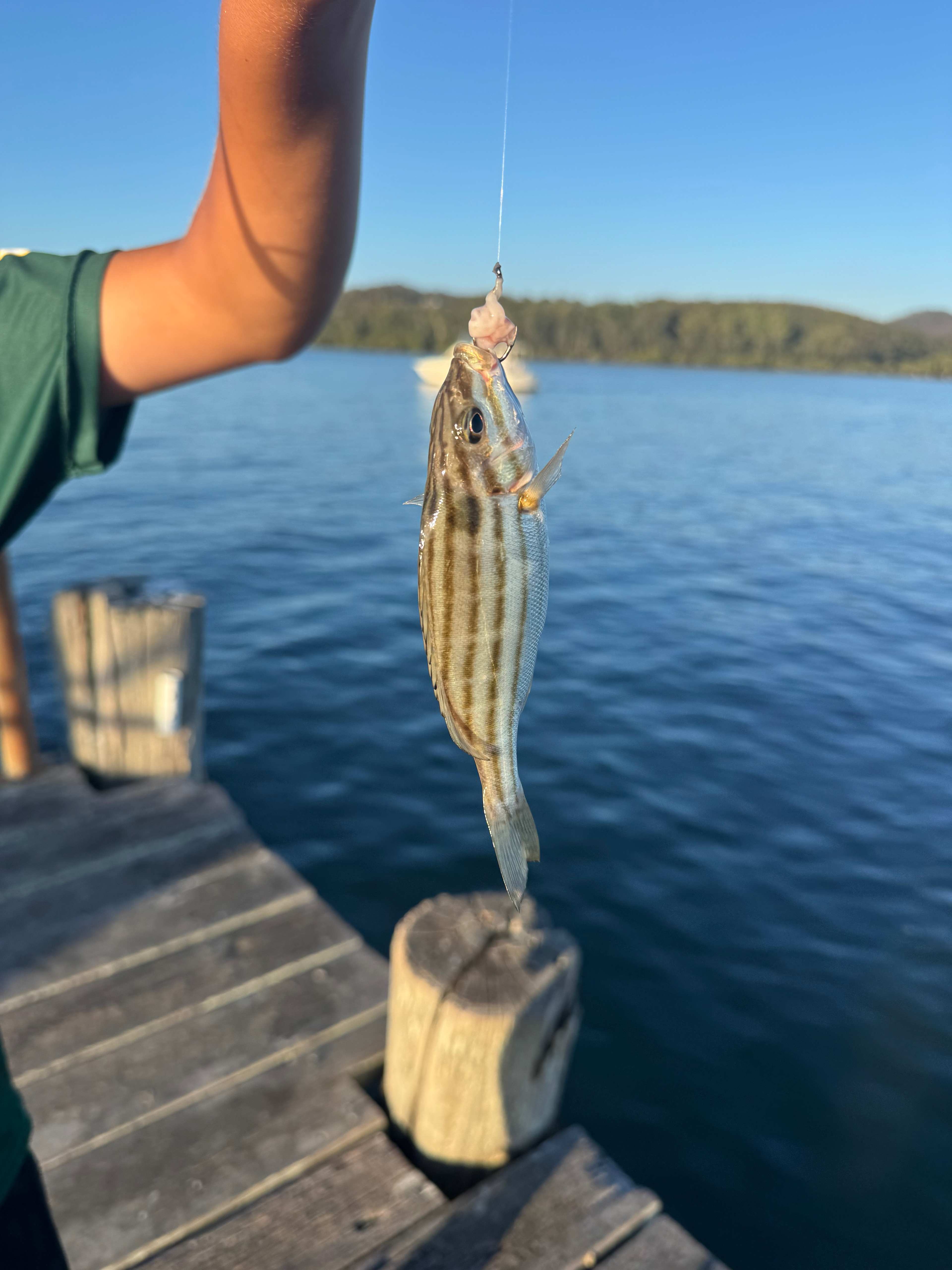 BIG4 Karuah Jetty Holiday Park