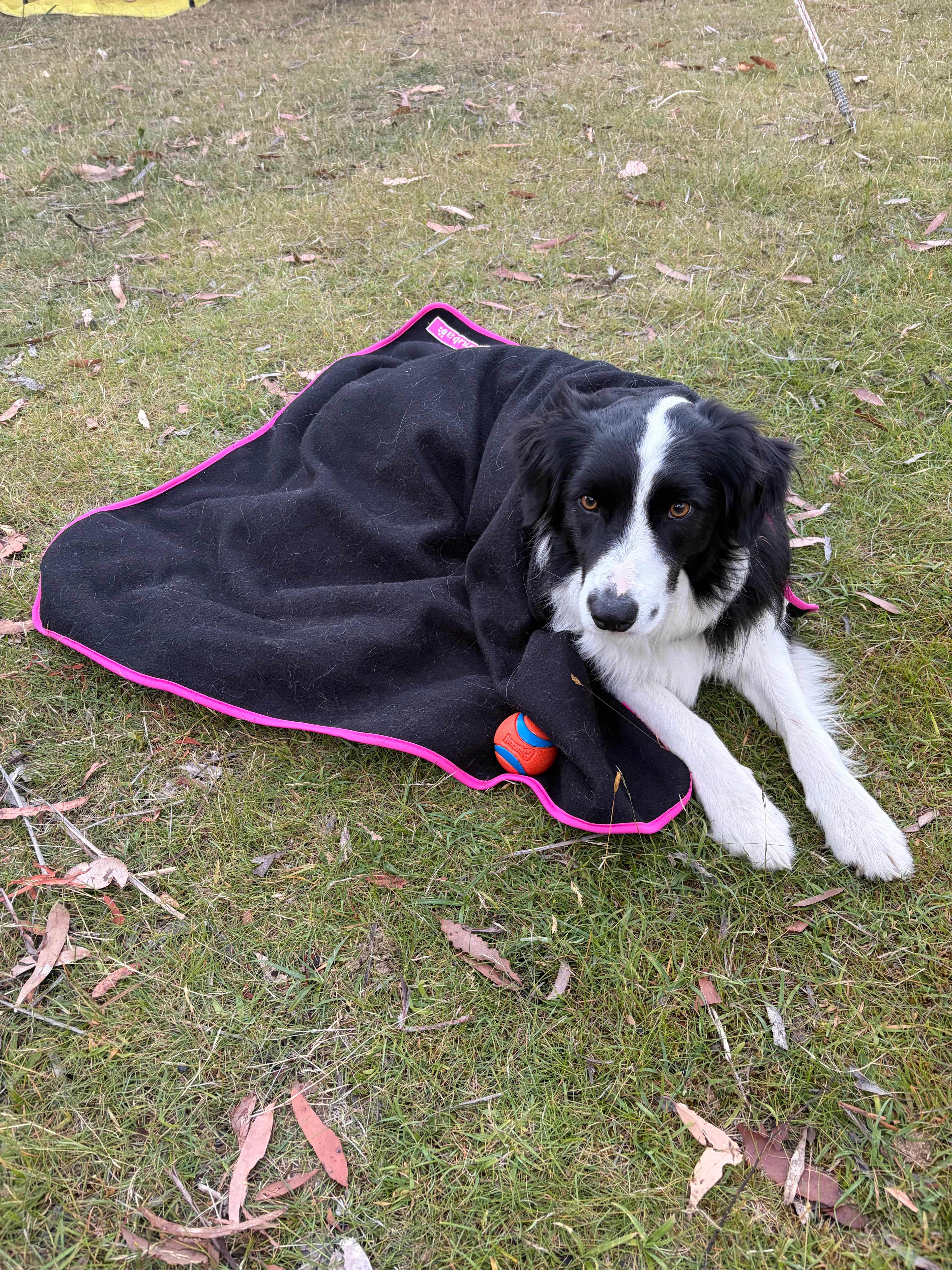 Bruny Island Bush Camp