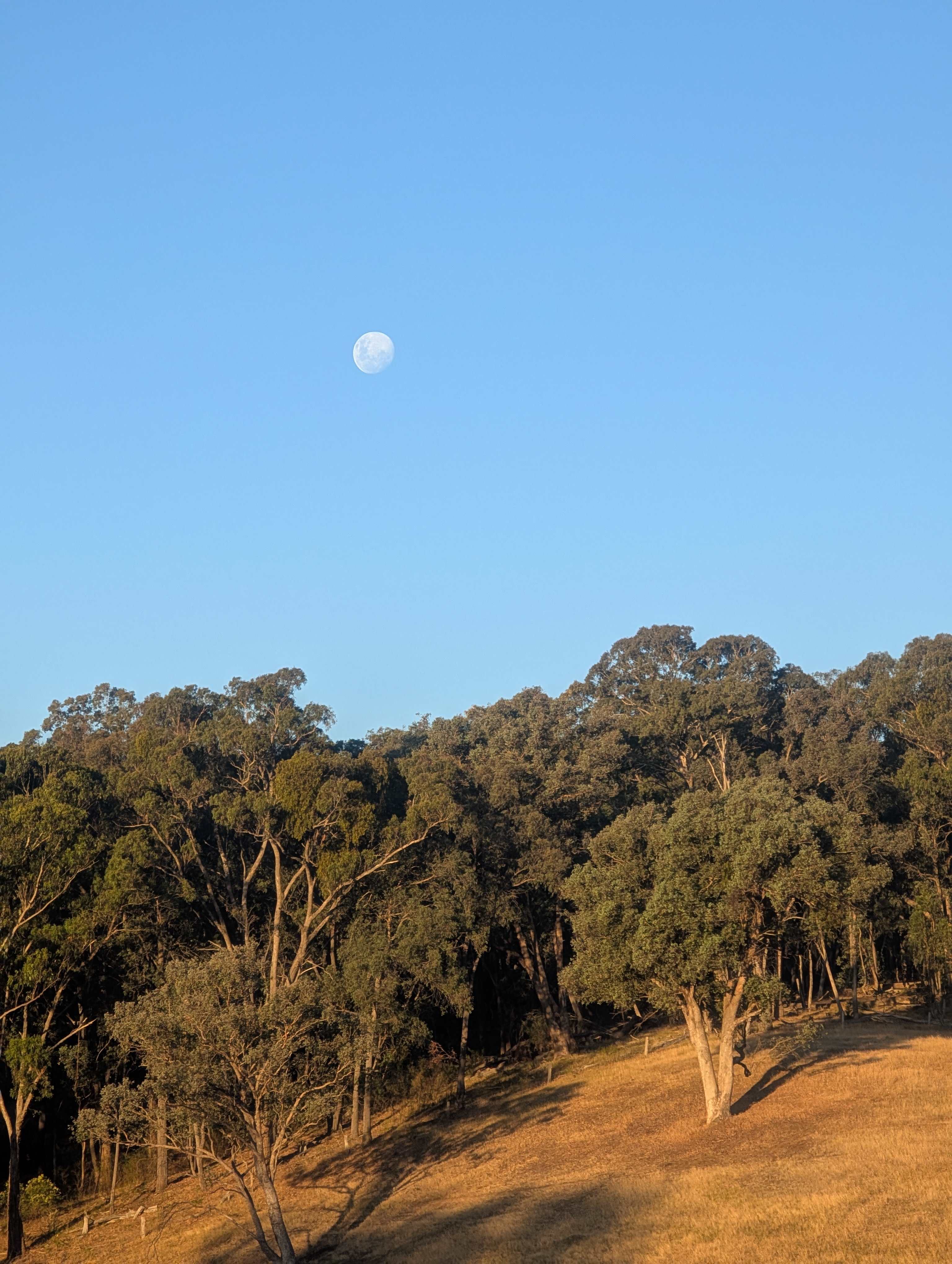 Nillawarre Farm Stay