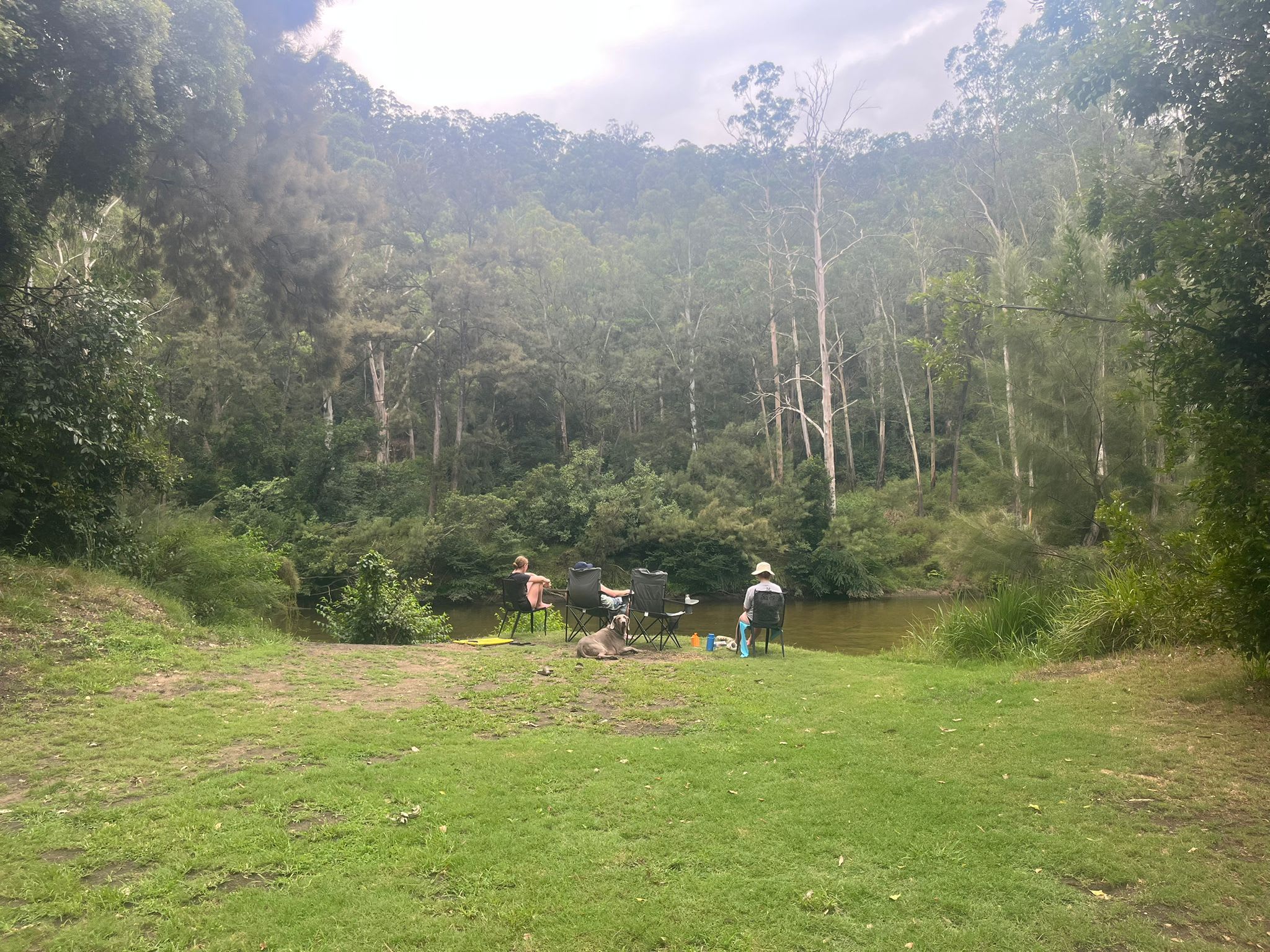 Shady Acres Colo River