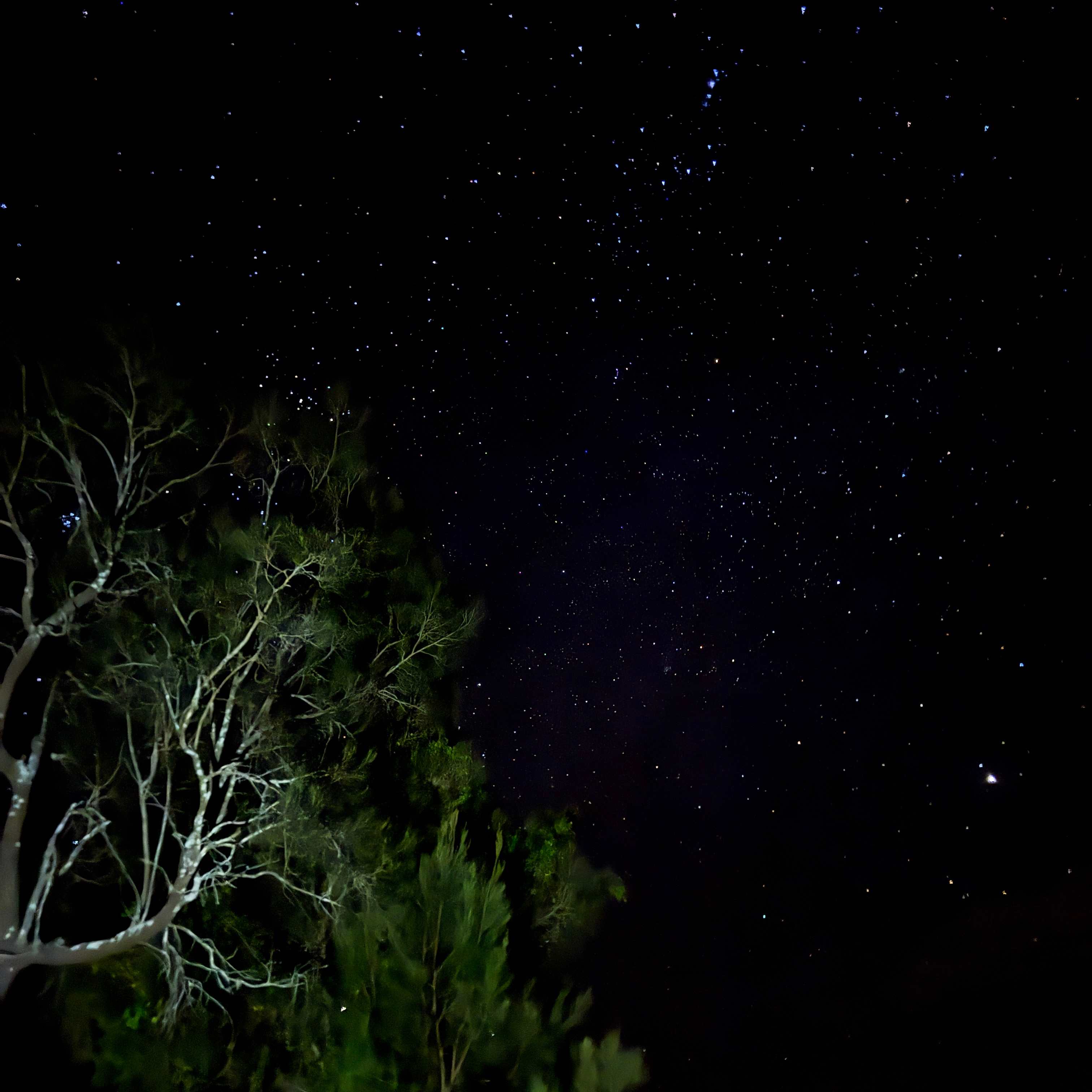 The stars on the site