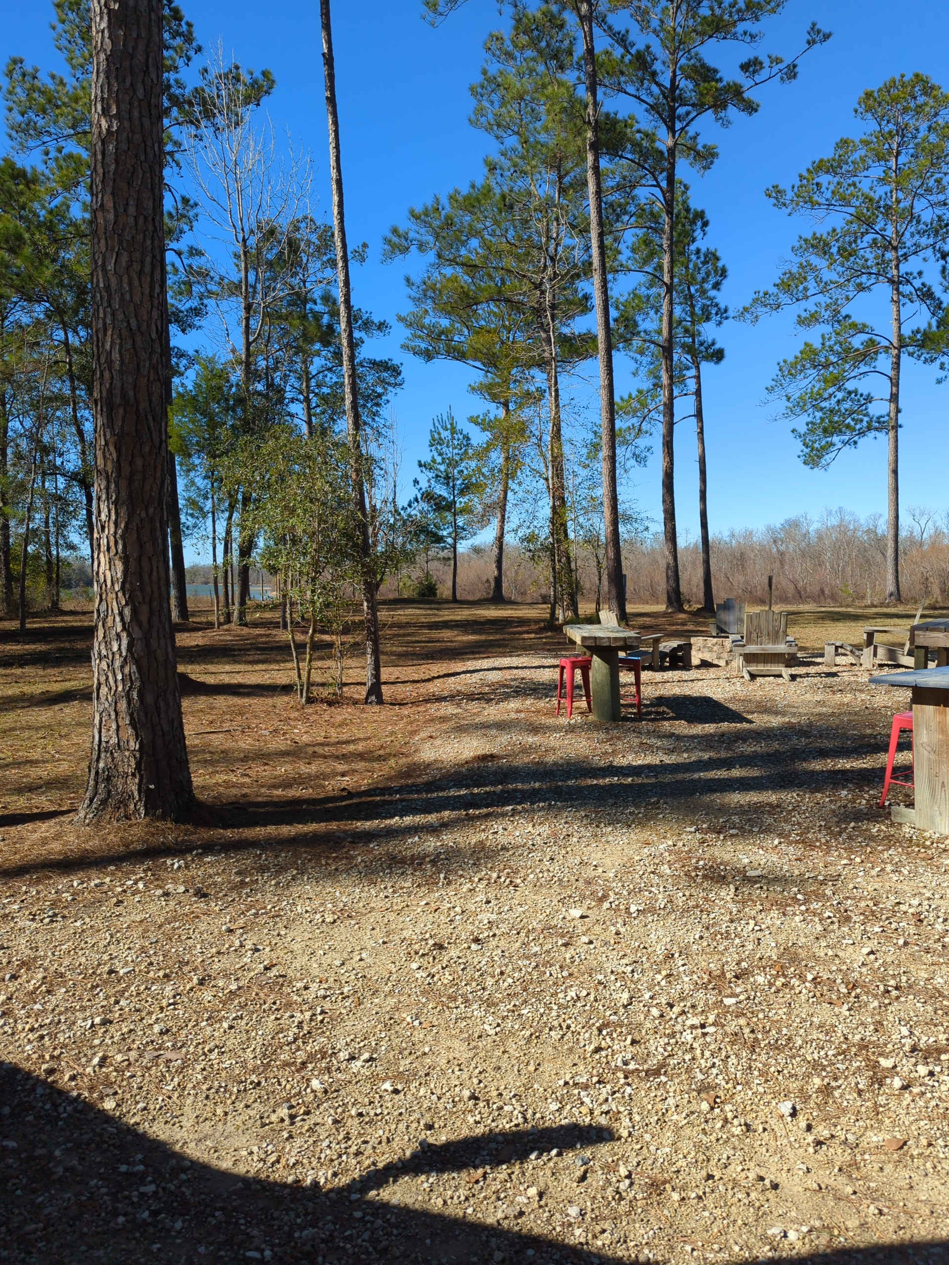 "Sweet Tupelo" on the "Big River"!