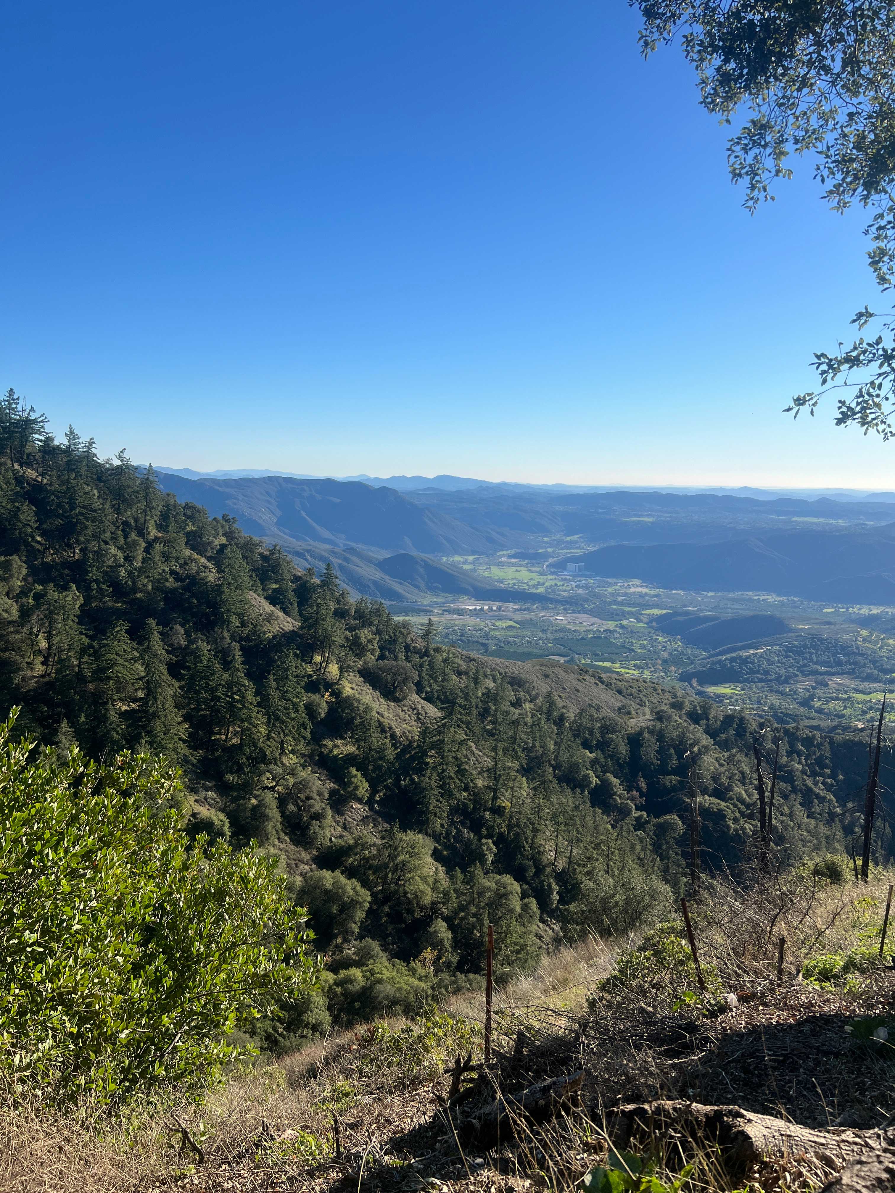 Magical Harrison Serenity Ranch