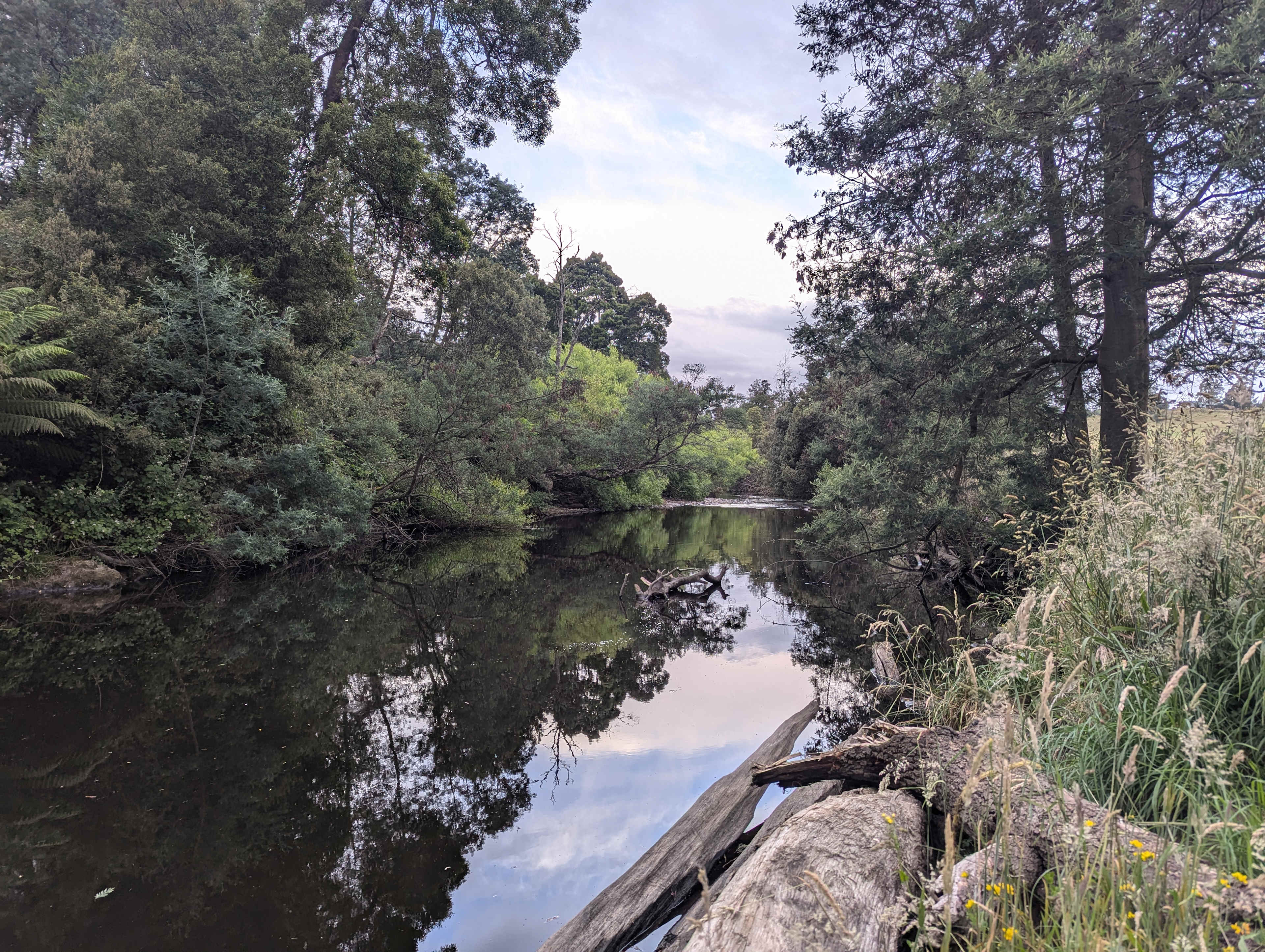 Fairview Farm Ringarooma Tasmania