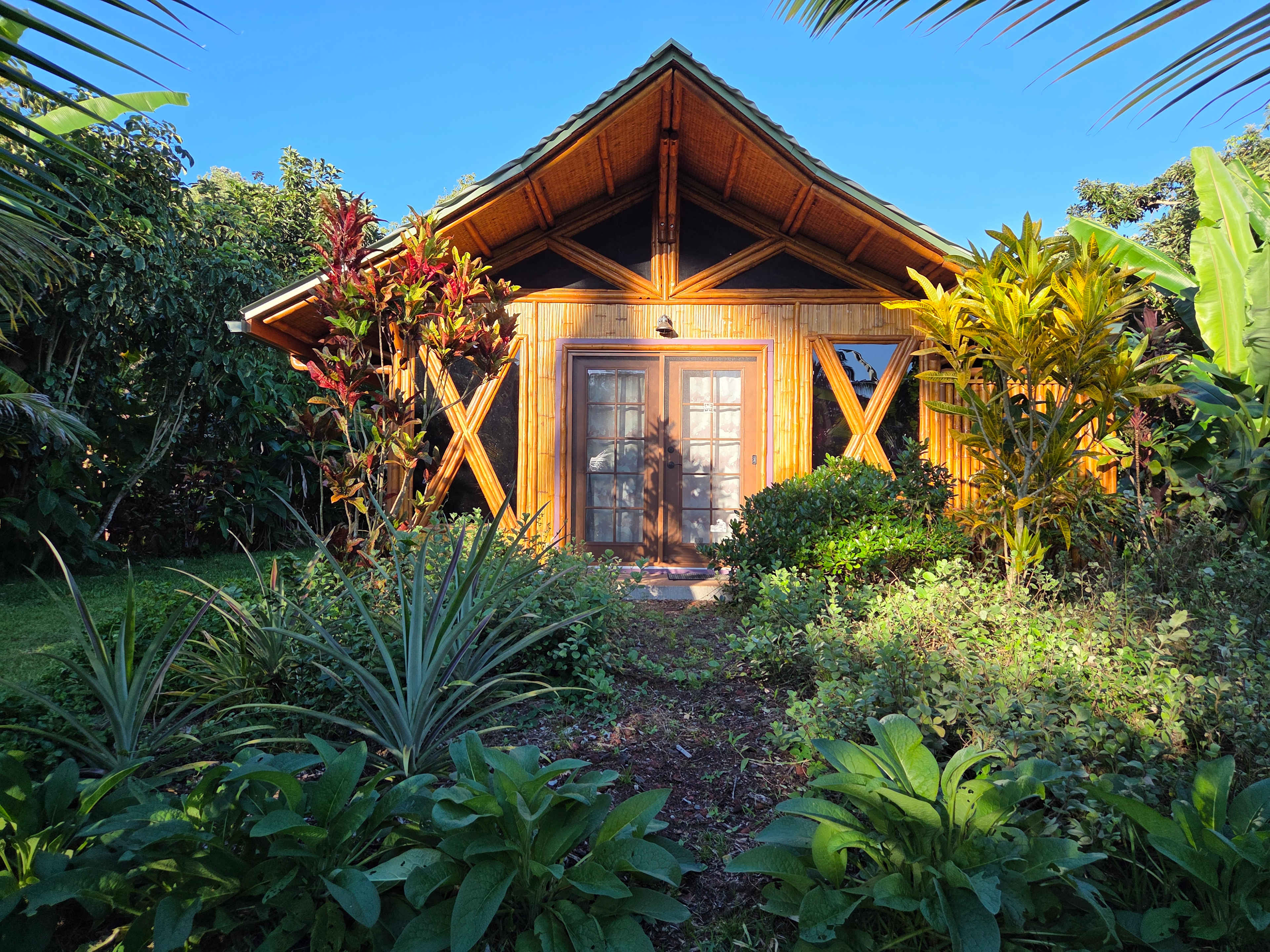 Jungle Meets The Ocean