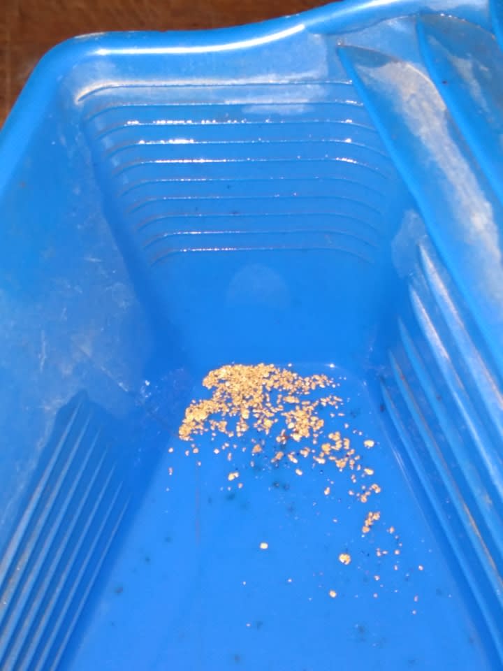 Ningee Gold Panning, Detecting