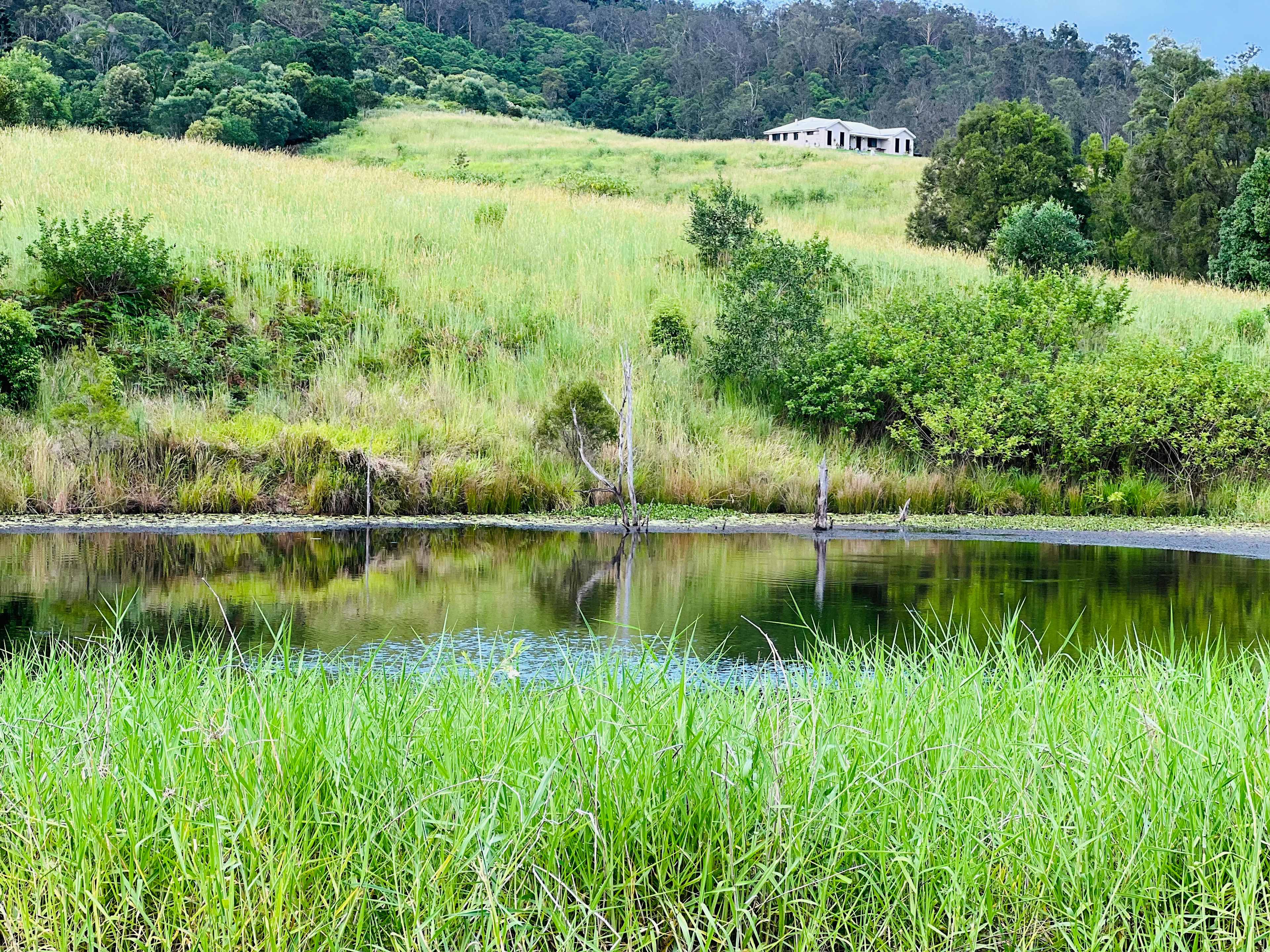 Little Red Tractor Farm