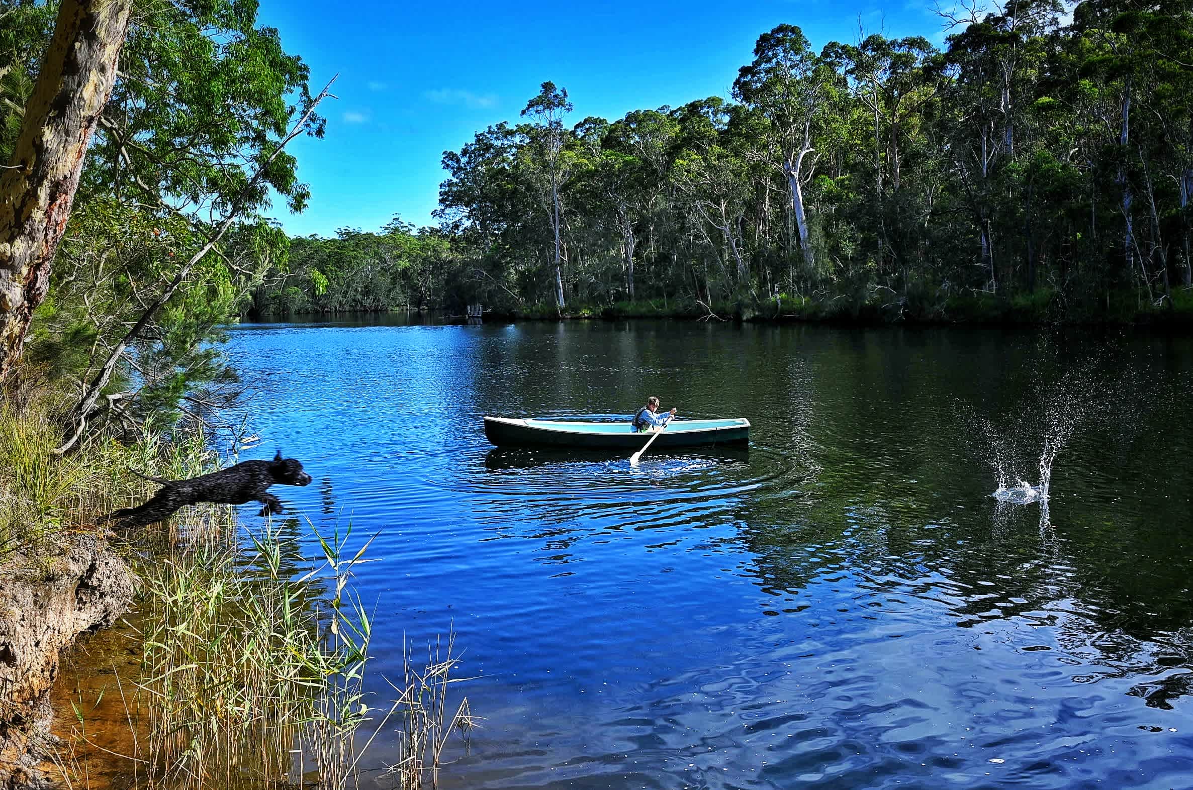 Babbling Brook 4WD Camping
