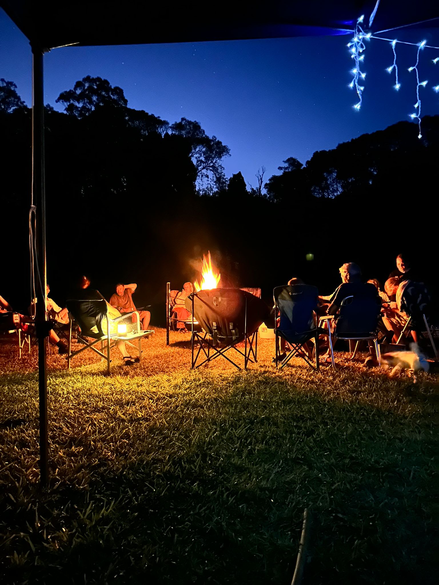 Elands TereTulemast EXCLUSIVE SITES